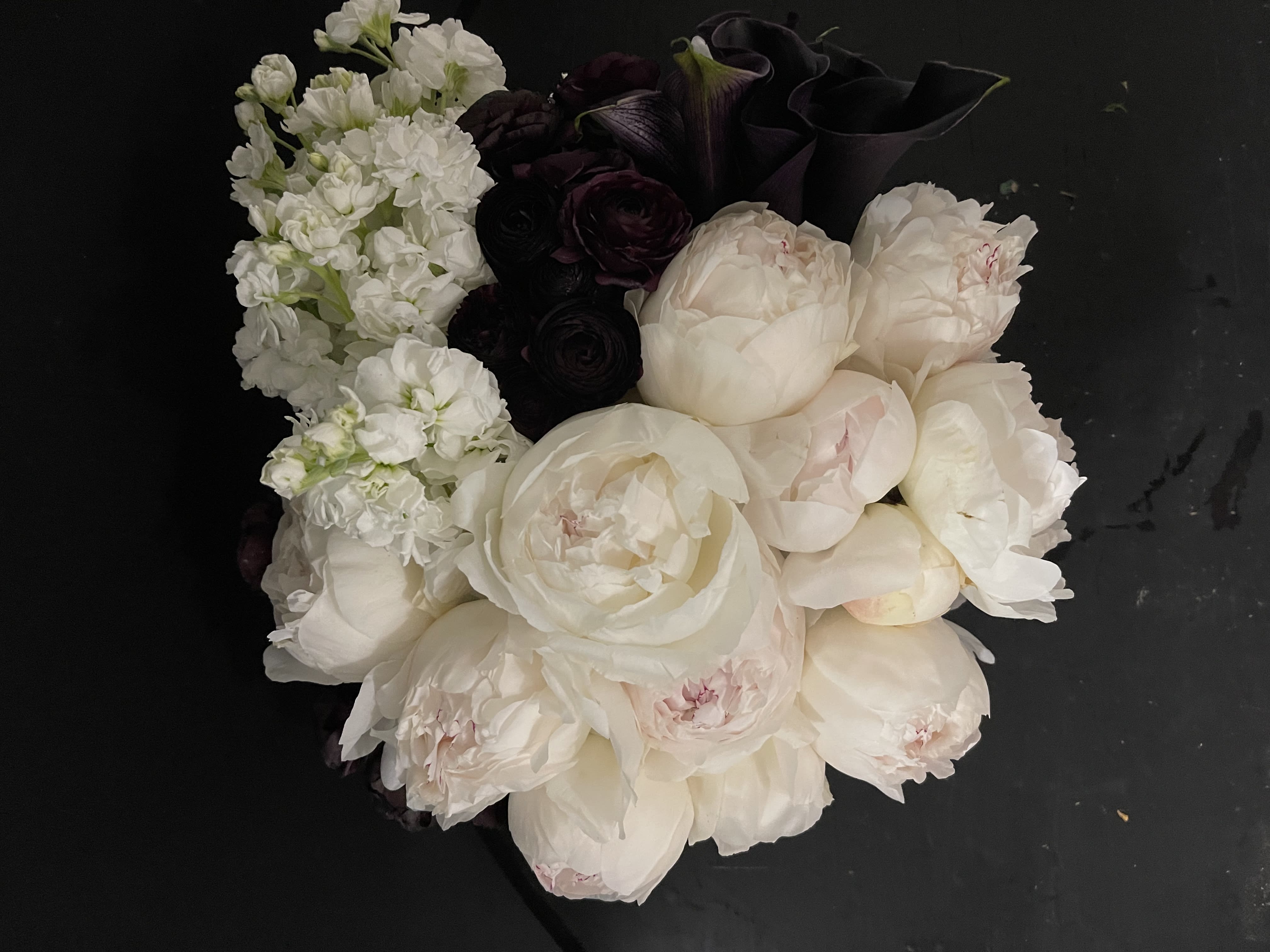 Breathtaking Elegance. - If only all flowers always looked as perfect as these white peonies. They do most of the time! But please keep in mind Peonies vary in size! This is part of our black and white collection.  White peonies, dark callas and ranunculus with white stock. 