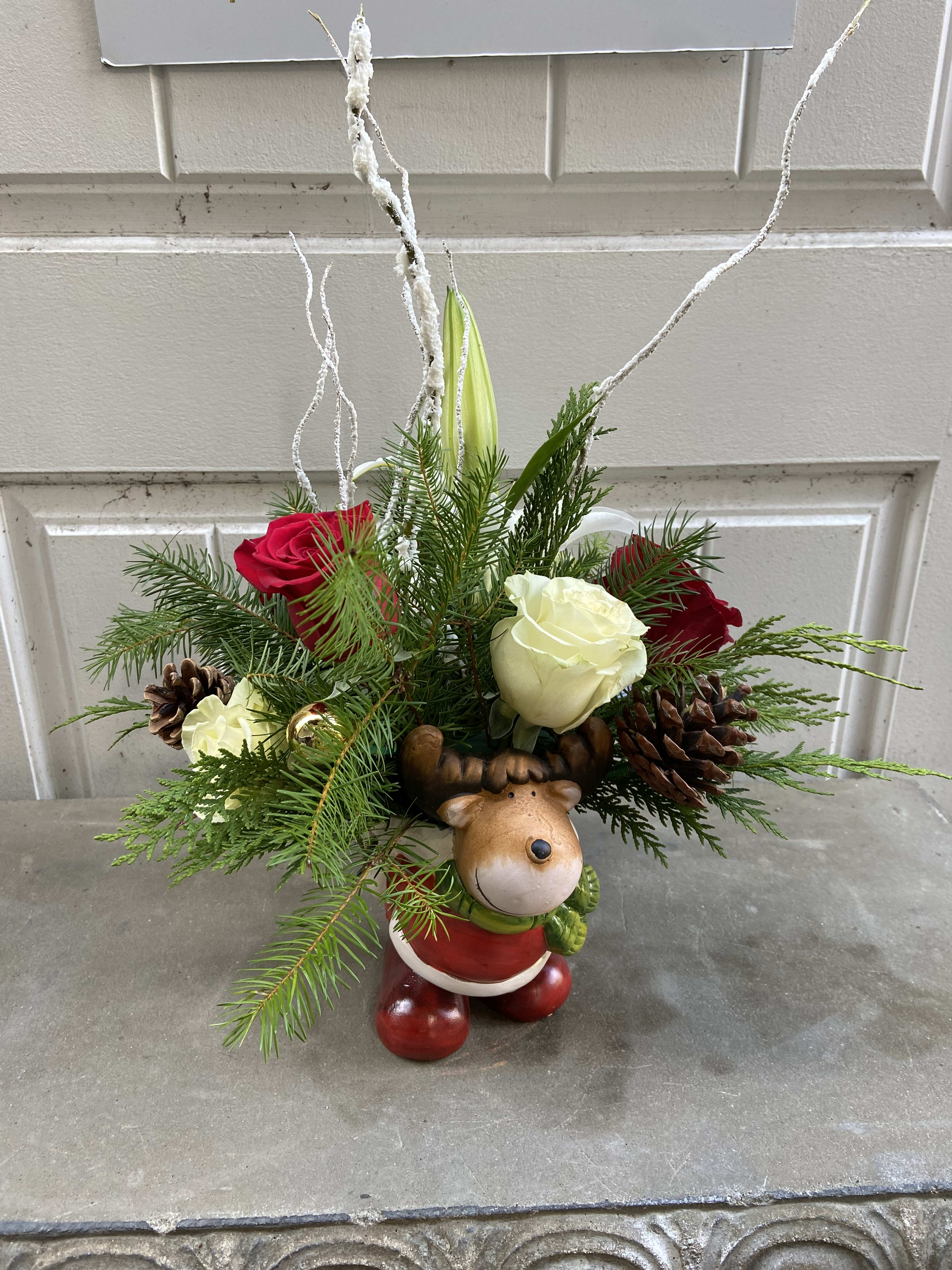 Joyful Reindeer - Cute reindeer container filled with mixture of winter greens, red and white roses, and white lilies accented with pine cones. 
