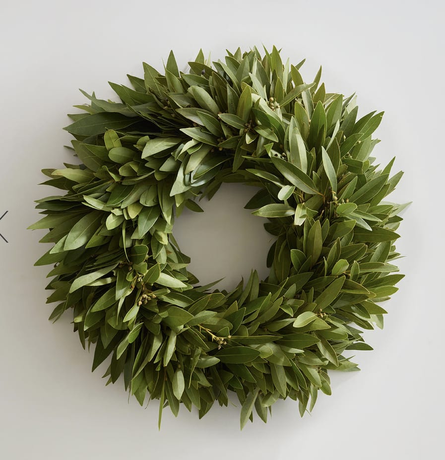 Fresh Bay leaf Wreath 24&quot; - Fresh Bay Leaf Wreath