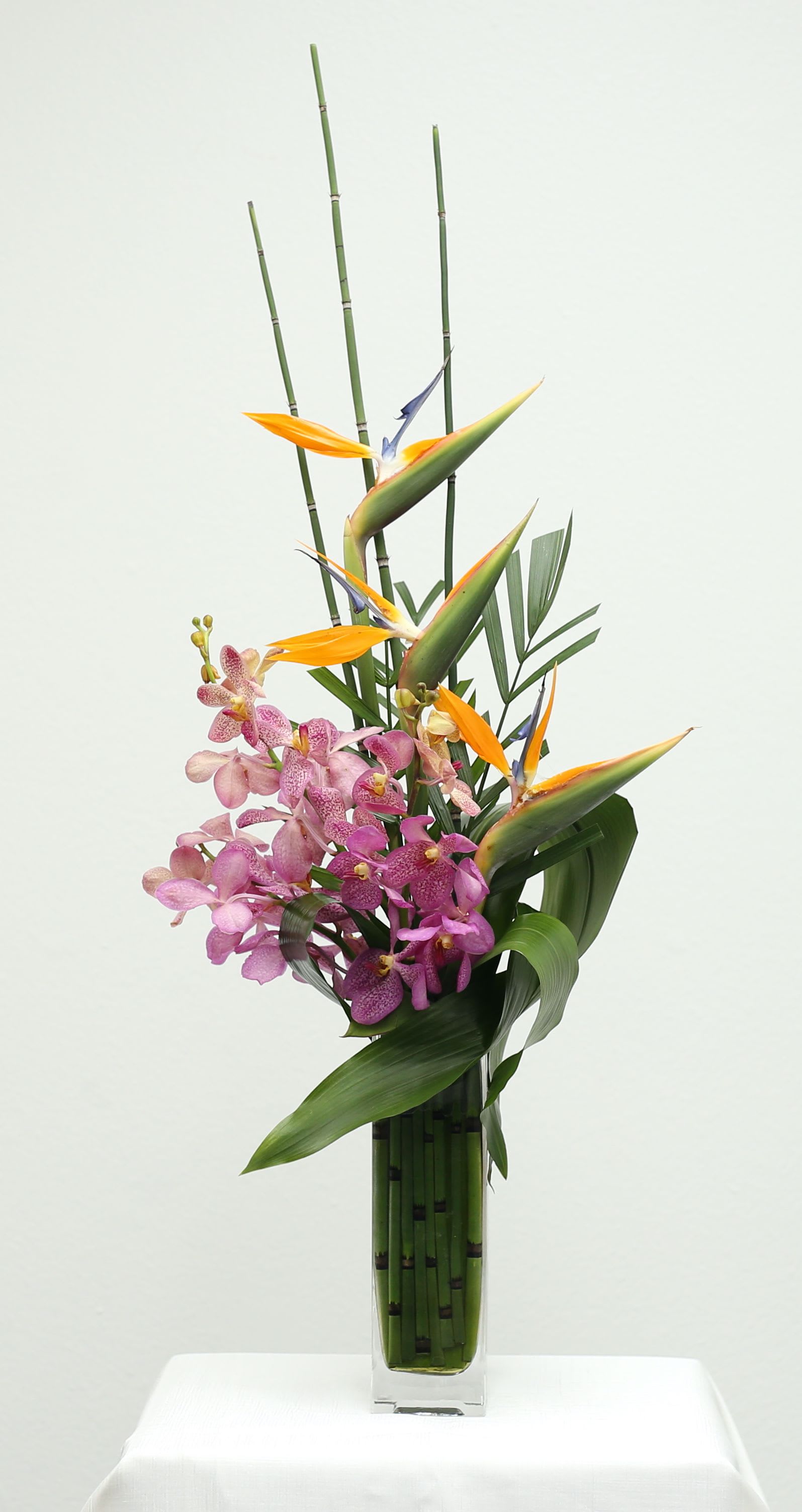 Bird and Bloom - Experience the allure of the tropics with this captivating floral design. Striking bird of paradise blooms are artfully paired with delicate orchids, creating a symphony of color and form. 