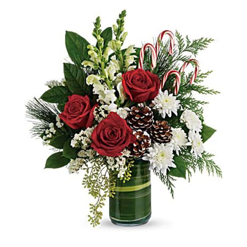 Festive Pines - An instant Christmas party, this festive bouquet bursts with fresh blooms of red roses with winter greens and fun-filled candy canes. Red roses are accented with seeded eucalyptus, lemon leaf, flat cedar, white pine, candy canes, and small pinecones. Delivered in a clear glass cylinder vase. Orientation: One-Sided