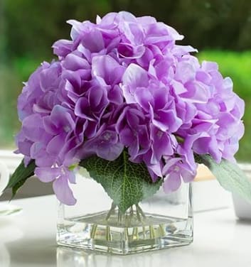 Purple Hydrangea Bouquet - Purple Hydrangeas arranged in a square vase. Shade of purple may vary depending on availability.