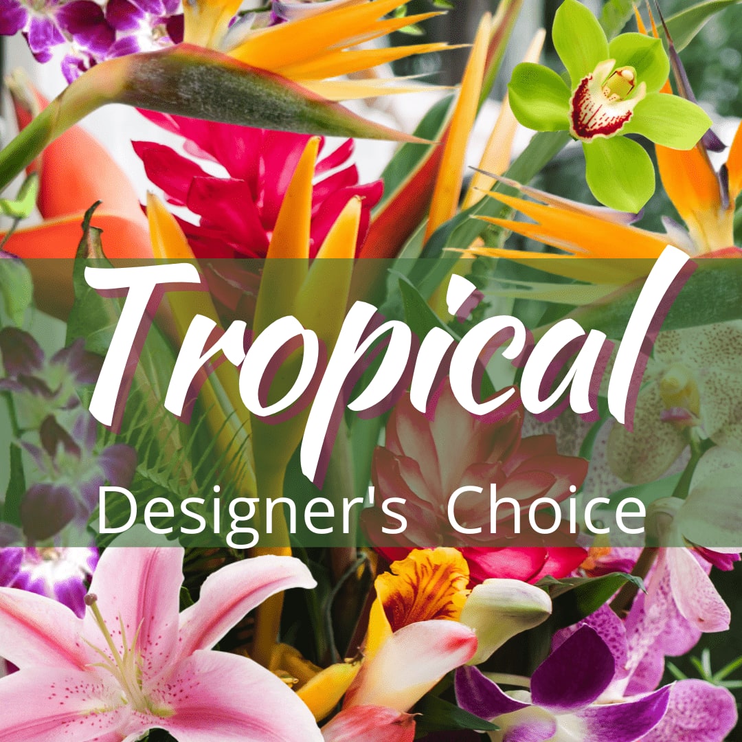 Tropical Designers Choice Bouquet - Our talented florist will create a tropical flower arrangement with our fresh tropical and traditional blooms. Each creation will be unique! No two alike! The photo is a stock image for reference only. Flowers will vary based on fresh inventory.