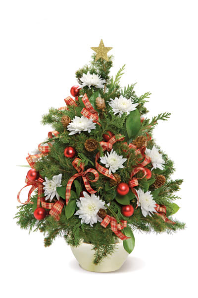 Blooming Holiday Tree - This fresh floral twist on a traditional tree makes a great gift for family &amp; friendsÃ¢ÂÂand it just might become your new favorite part of the holiday decor!