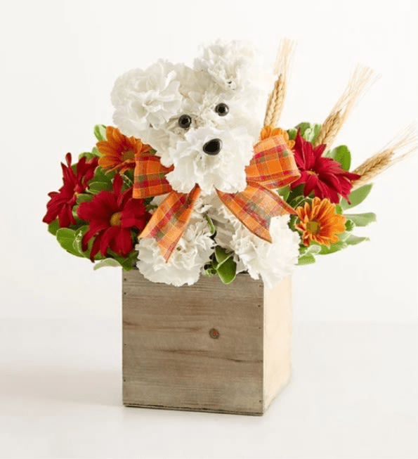 a-DOG-able for Fall - About a-DOG-able for Fall EXCLUSIVE Our whimsical autumn arrangement is doggone adorable! Popping out of a wooden cube, this playful pooch is hand-designed from fresh white carnations, with colorful daisy poms all around. It’s a charming and original gift to share for a season full of celebrations. * One-sided 3D arrangement with white carnations and red and rust-color daisy poms, accented with wheat and assorted greenery * Crafted in the shape of a dog, complete with eyes, nose, and decorative ribbon * Artistically designed in a wooden cube container; measures 5”H x 5”W * Arrangement measures approximately 12&quot;H x 12&quot;W * Our florists hand-design each arrangement, so colors, varieties, and container may vary due to local availability
