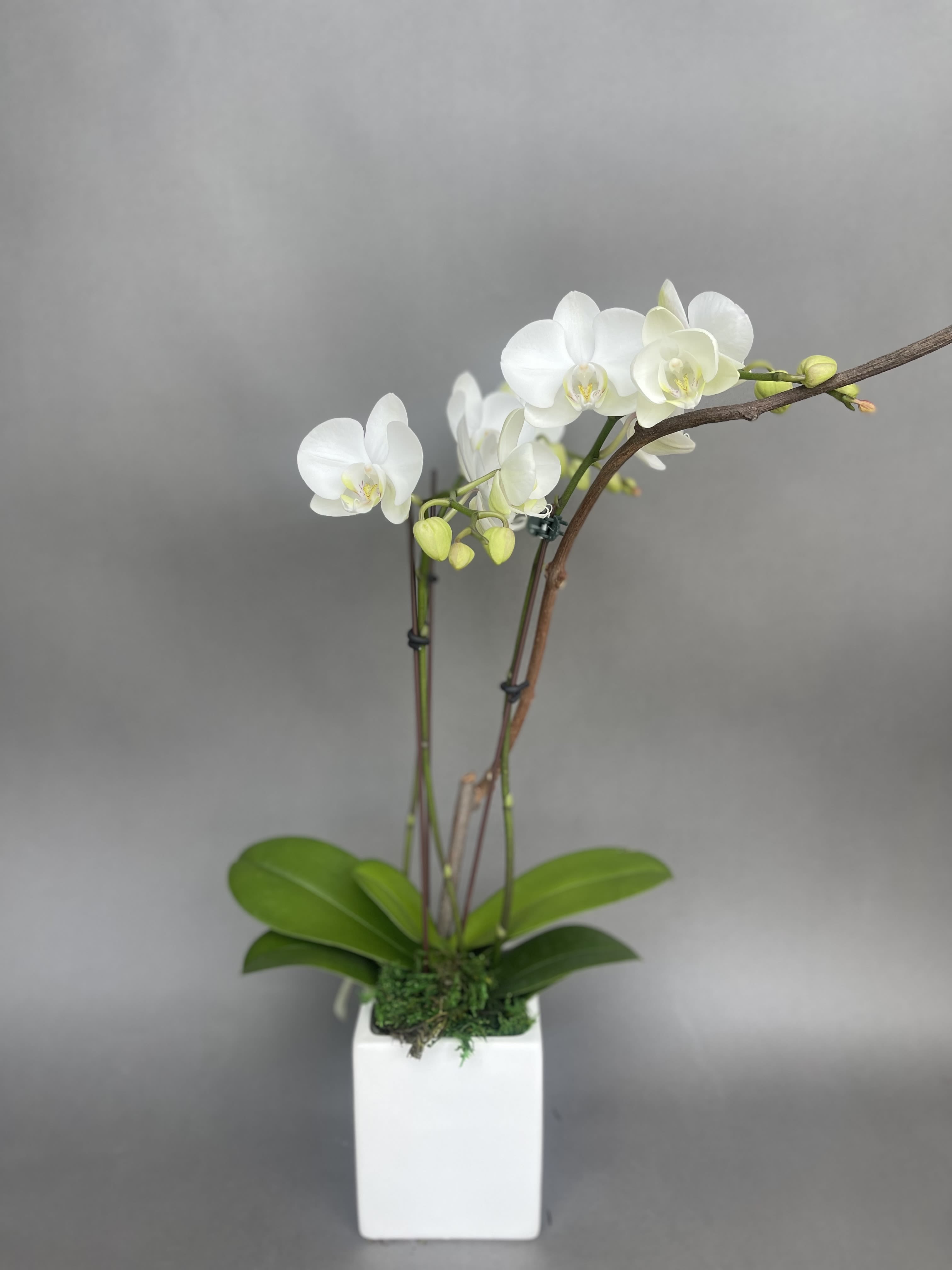 Small orchid.  - Small orchid. We will always try and design with a white orchid, but YES COLOR WILL VARY. 