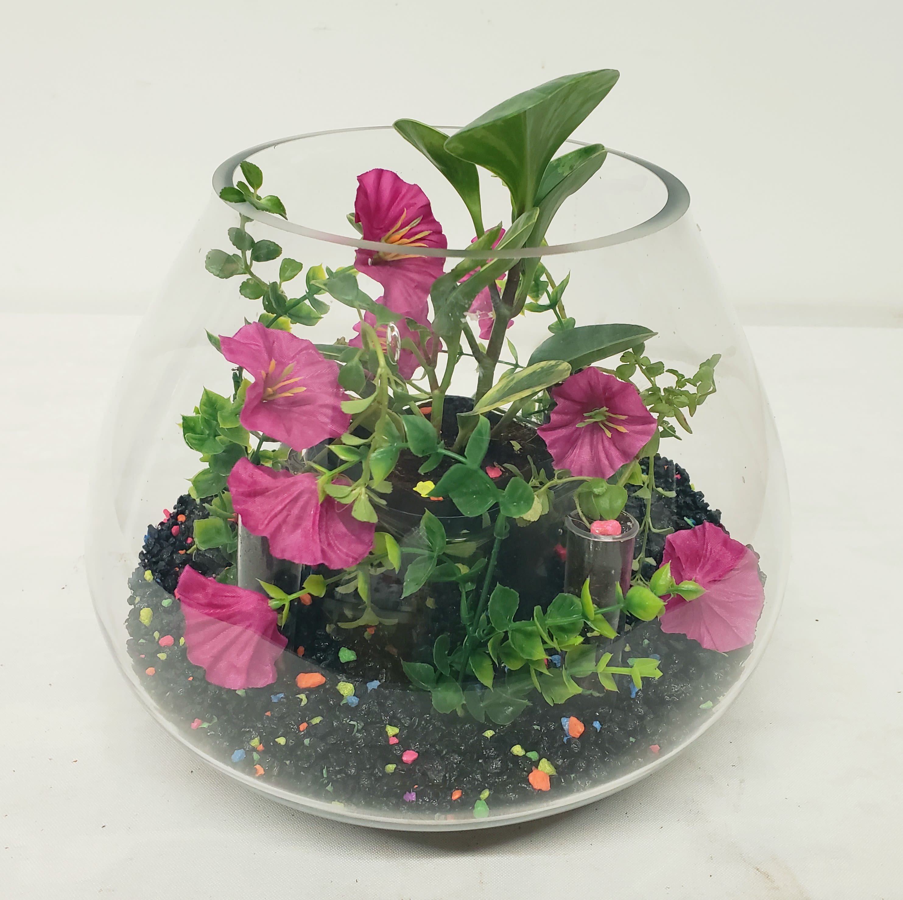Open Top Terrarium - Designer terrarium features live plants and silk flowers set in aquarium gravel. Perfect gift for lasting enjoyment. 10" W by 10" H.
