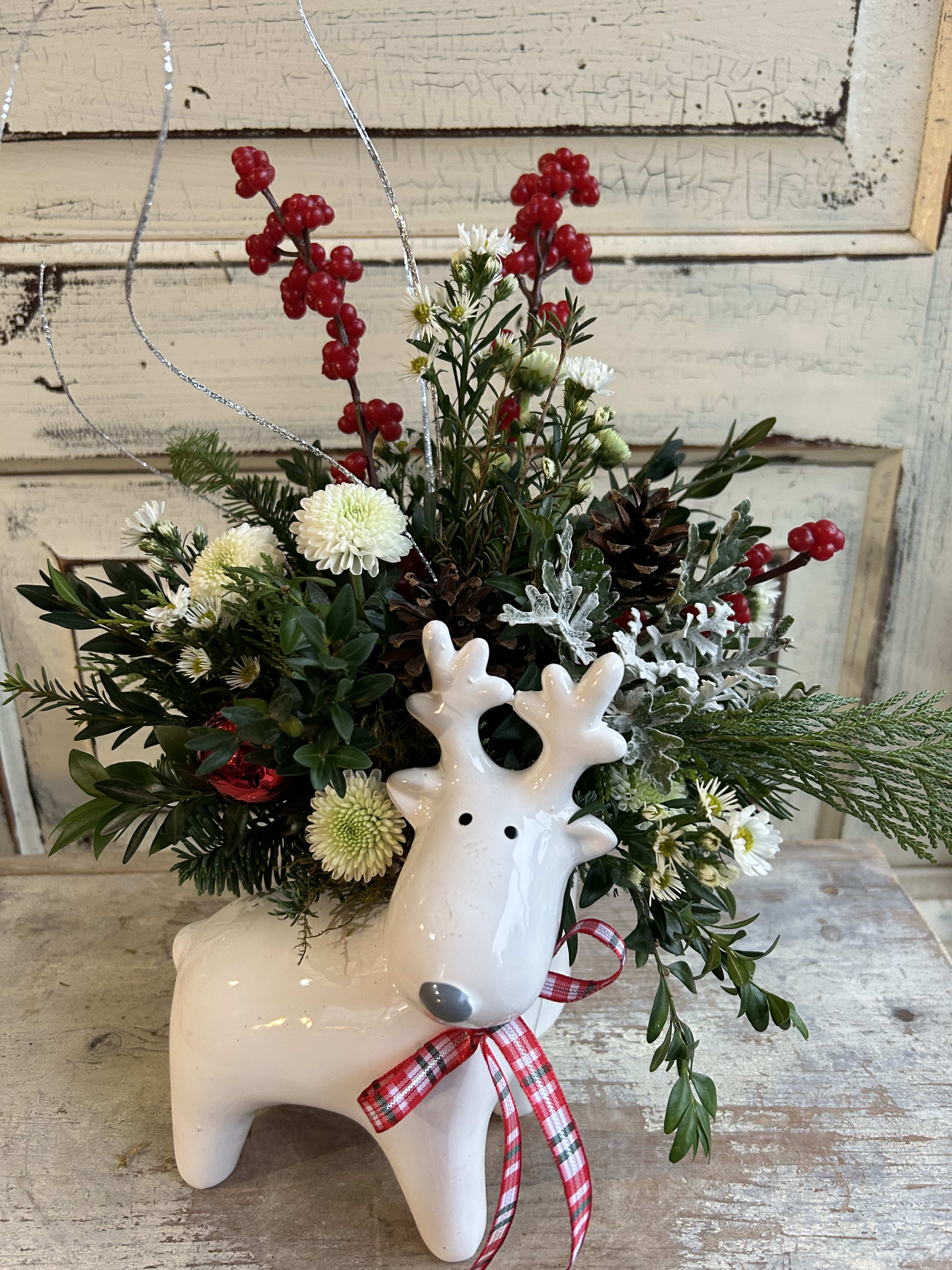 Petite Reindeer - A perfect desktop gift for that little accent of Christmas cheer. This ceramic reindeer container holds fresh evergreens, pinecones, berry sprays and a few red and white blooms.