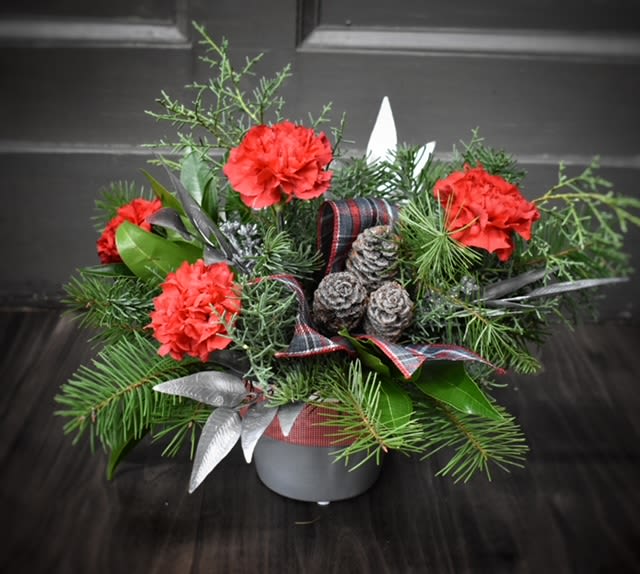 Merry and Bright - Available for Local St. Cloud, MN Delivery only - Good tidings we bring to you and your kin. ( and evergreen with carnations!) We wish you a merry Christmas and a Happy New Year