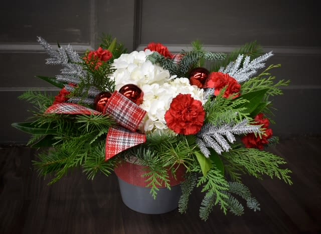 Winter Wishes - Available for Local St. Cloud, MN Delivery Only - Send someone some winter wonder this year! Just what they were wishing for... A beautiful evergreen mix with festive red carnations and white hydrangea.