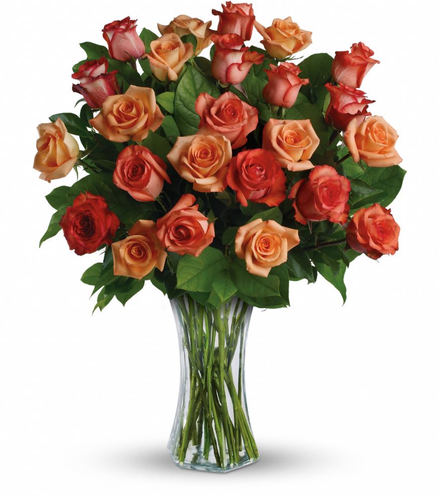 Sunrise Splendor - Send her a vase full of sunshine - glorious roses in brilliant shades of orange, light orange and dark orange. Delivered in a sparkling flared vase, this is a dazzling gift that will warm her heart for days - maybe weeks.  This dazzling bouquet includes orange roses, light orange roses and dark orange roses accented with salal. Delivered in a flared glass vase. Approximately 23&quot; W x 28 1/2&quot; H 