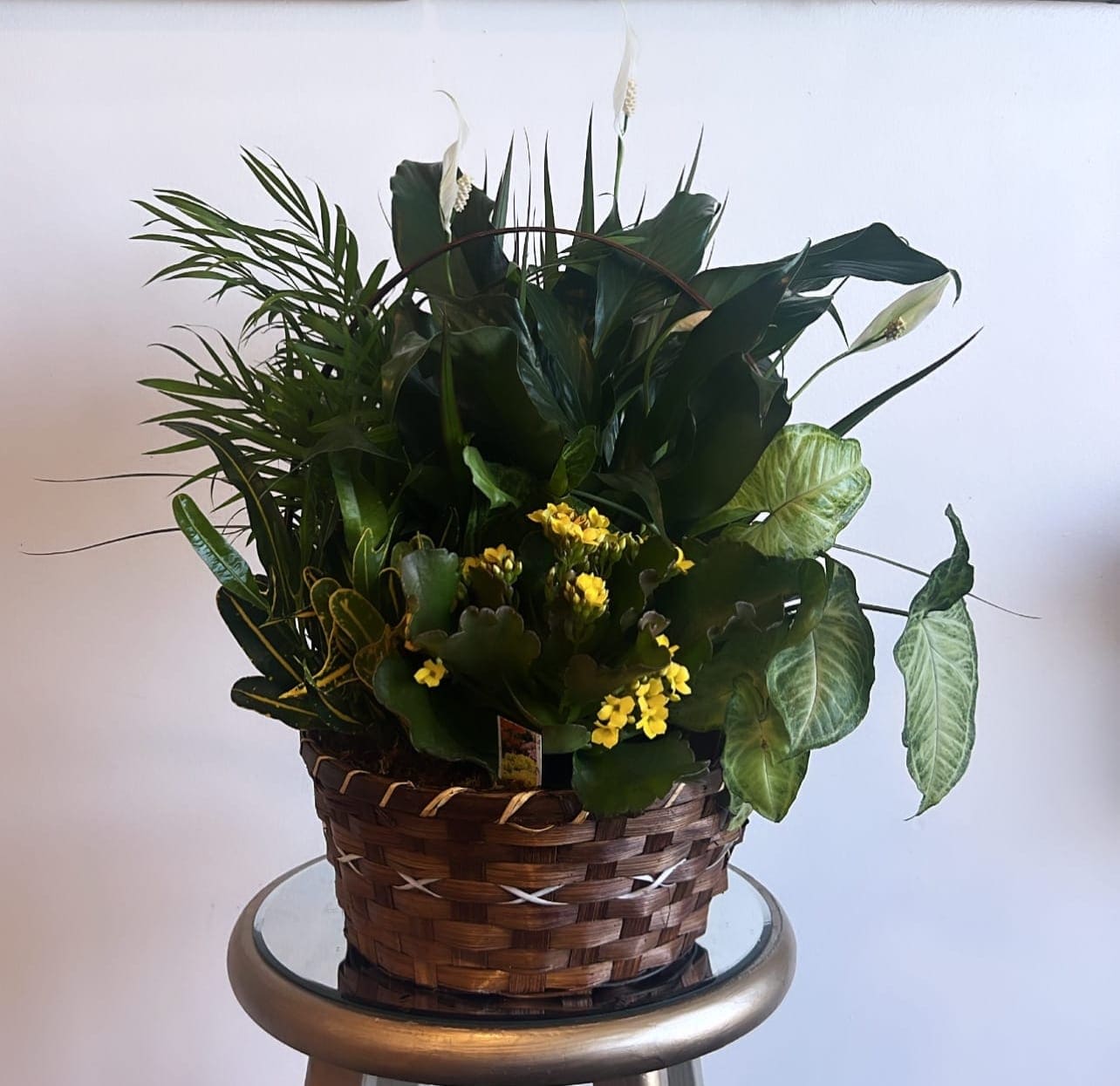 Dish Garden With A Hint Of Yellow - Introducing our exquisite plant and dish garden collection, a perfect alternative to floral arrangements for funeral viewings. These long-lasting plants are a thoughtful and elegant way to express your condolences. 