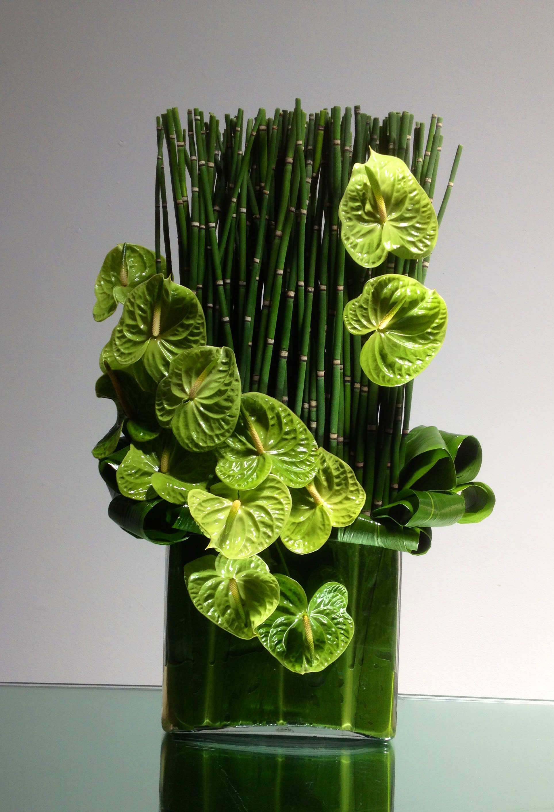 Bamboo Beautiful - A very modern and stylish arrangement of horsetail and lime green anthriums. This is a statement piece!