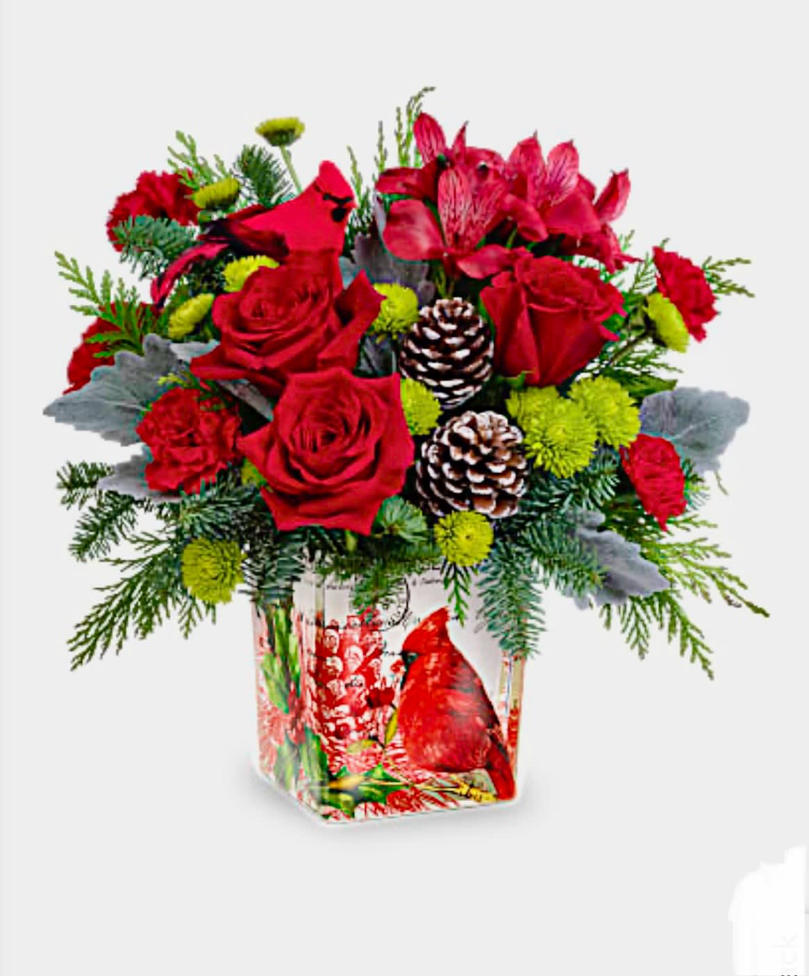 Cardinal Cheer  - Paint a magical holiday scene with this classic bouquet, arranged in a vintage-inspired glass keepsake adorned with a cheerful cardinal. Later it can be used as a lovely candleholder.