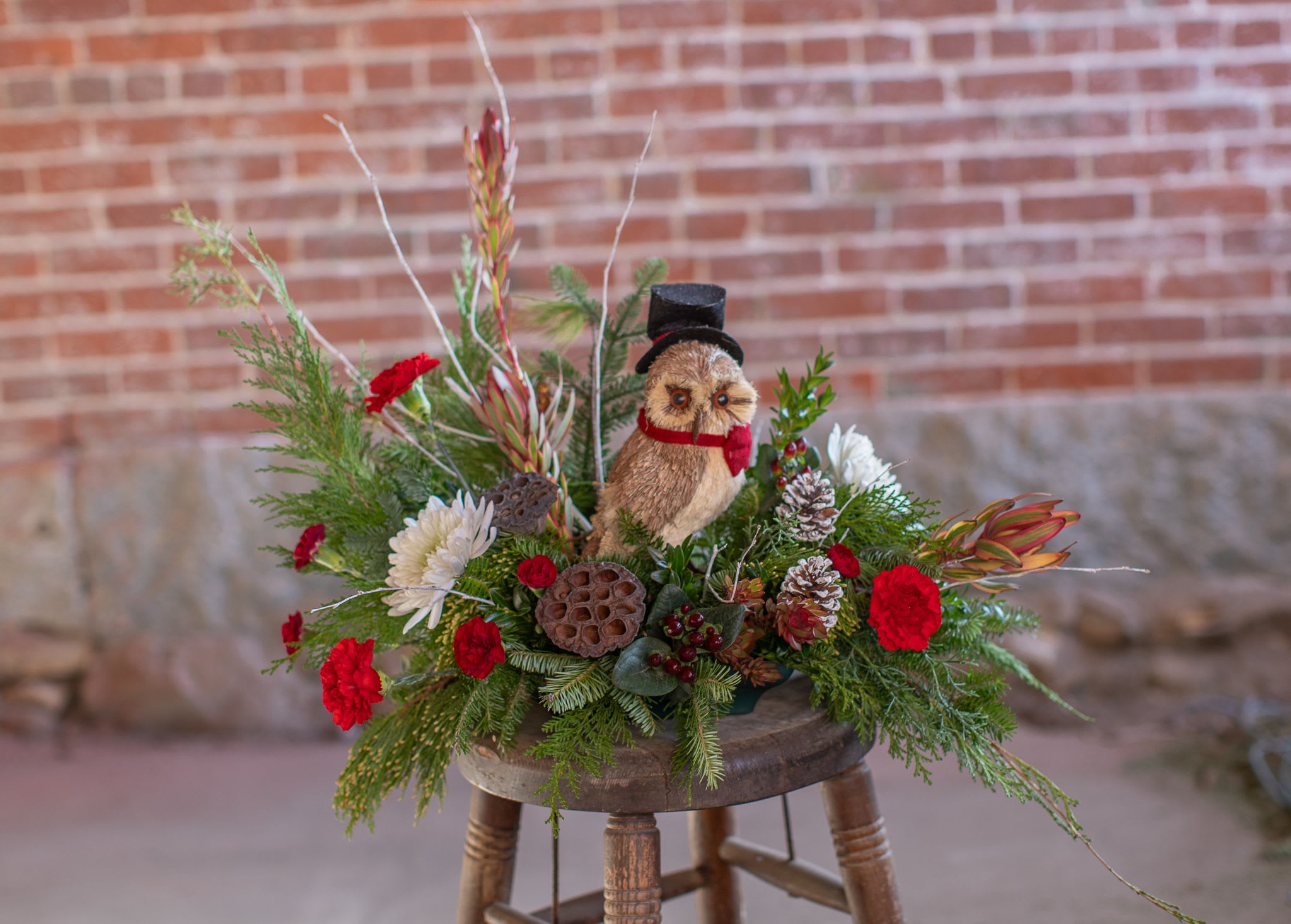 Distinguished Gentleman - A fun floral design that features a wonderful long term gift for the recipient. This more contemporary, angular design has a very distinguished gentleman nested in the nook of the arrangement. A merry owl complete with top hat and bow tie is made of sisal, felt and wire. The wise owl is perfect for reuse in seasonal decorating. Kate's original, one sided design featured dried lotus pods, white tipped or natural pine cones, branch materials and more. Douglas firs, balsam, cedar and pine are delightful for the season. Fresh florals in photo feature Safari sunset, spray carnations, standard carnations, hypericum berry and chrysanthemums - longer lasting floral varieties. Upgrade for implementation of premium and exotic grade florals. 