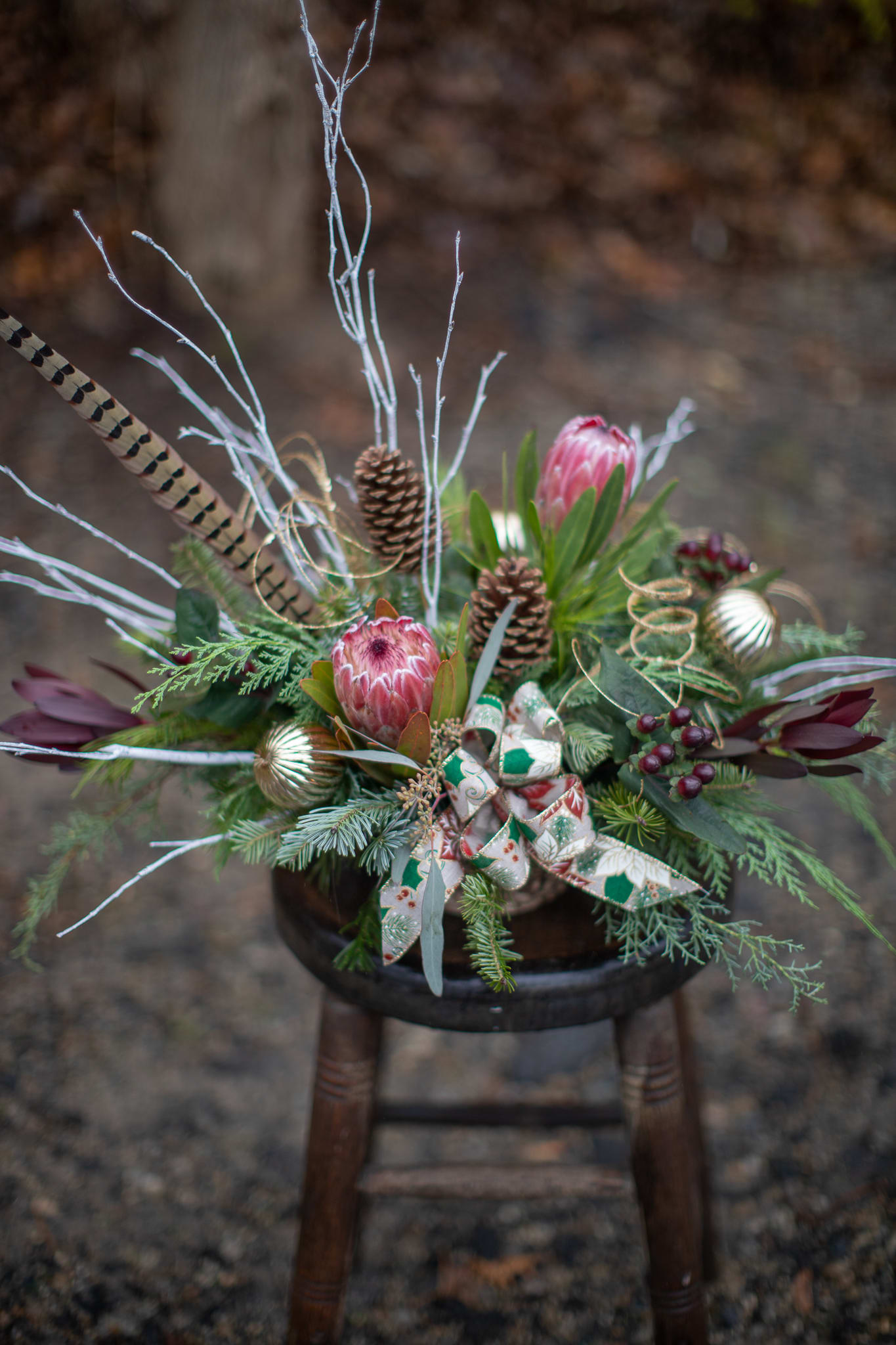 Protea in Pines - A design in a zinc tin with an outer lining of birch bark featuring a winter favorite. Unique protea flowers have longevity and give textural dimension to the awe-striking display of natural winter beauty. Fragrant winter pine, balsam, cedar and fir fill the air with the sensational spirit of winter. Tall white birch branches create a grand showing. Base price only includes one large protea flower with three natural pine cones, safari sunset leucadendron, and hypericum berries. Deluxe is photographed with two protea. Upgrade to premium price to have an all around design including three rare pink ice protea flowers.