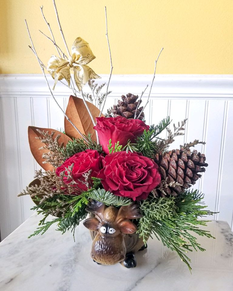 A Little X-Mas Moose - This adorable arrangement is the perfect office gift for your favorite co-worker.  I'ts compact in size, but not in cuteness! Filled with winter greens and your favorite holiday themed colors.  Approx height 13 in X 9 in