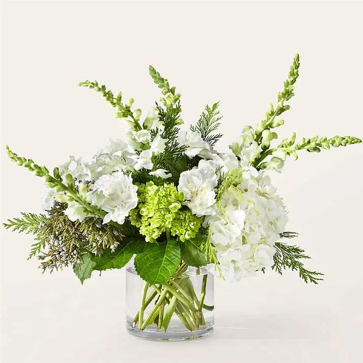 Marshmallows on Top Bouquet - Delicate greens and creamy white florals are in perfect harmony in this arrangement, evoking lightness and sweetness like a delicious marshmallow.  Details The Premium Bouquet is approximately 16"H x 18"W. Designed by florists, ready to display. For long–lasting blooms, replace the water daily. We suggest trimming the stems every couple days. Pet Safety Precautions: This bouquet or plant may include flowers and foliage that are known to be toxic to pets. To keep them safe, be sure to keep this arrangement out of your pet's reach.