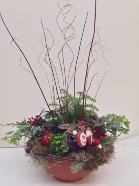 Dish Garden grows with love - As this dish garden grows it will bring joy and comfort to those that are special in your life.  We can make this themed to a special occasion, holiday or time in someone's life.