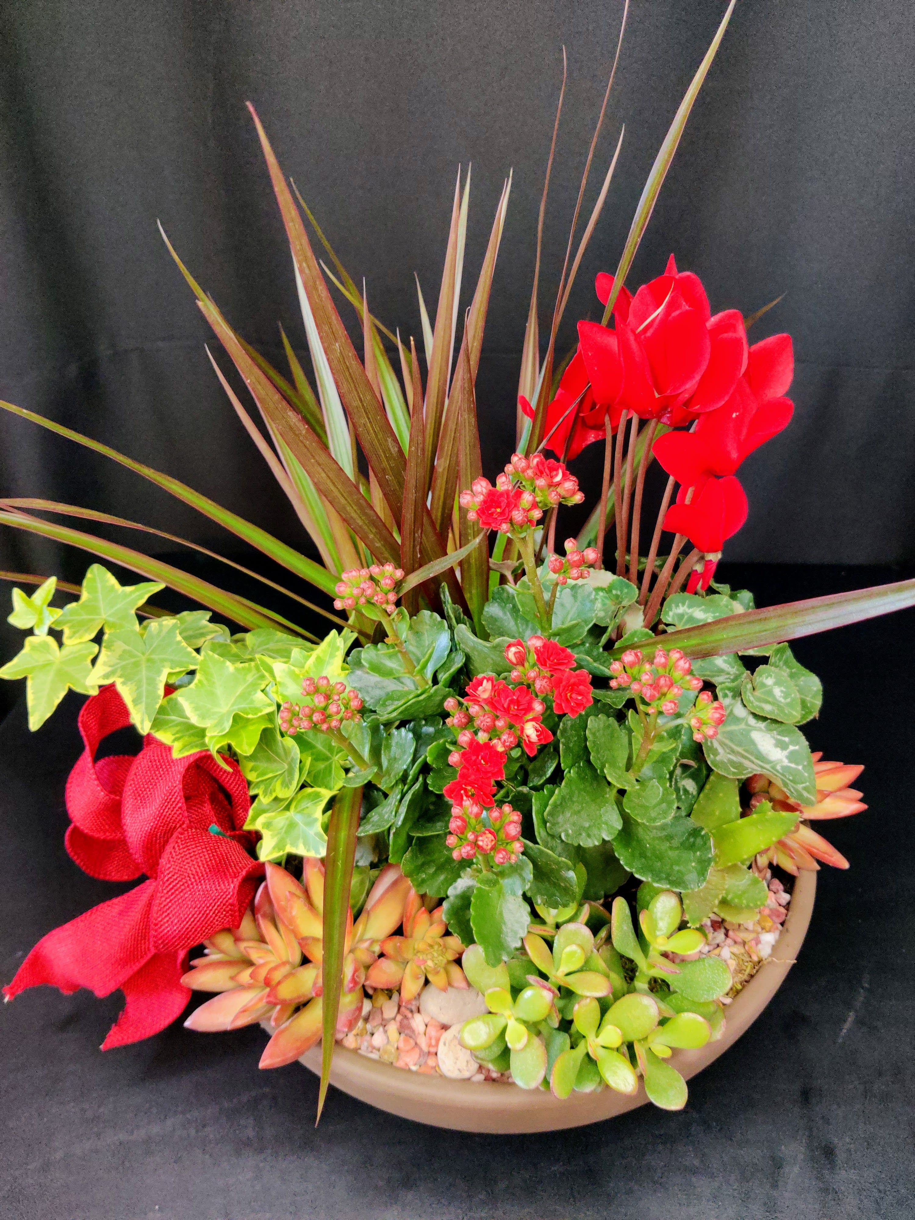 Large Blooming Succulent Garden - Outdoor bright sheltered or Indoor sunny planter garden. Plants may vary. Hearty and long lasting gift in a modern sculptured presentation.