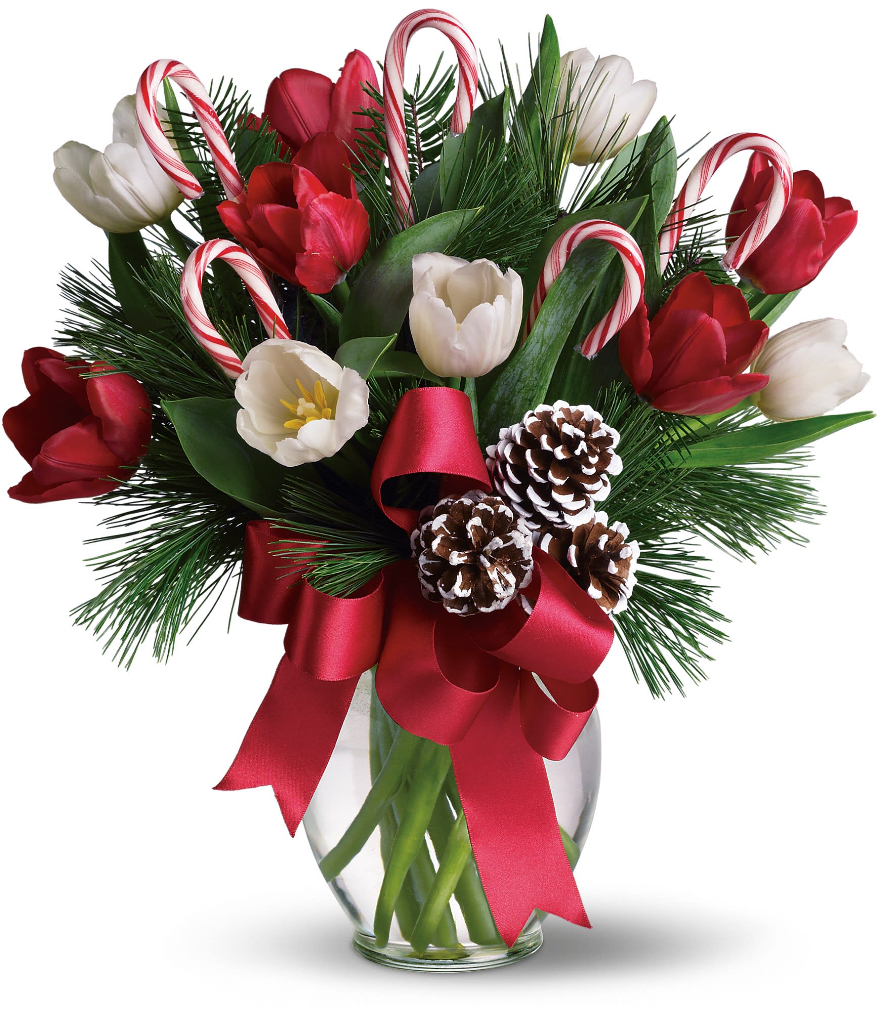 By Golly It's Jolly - Imagine what would happen if you combined everyone's holiday favorites and arranged them in a beautiful Christmas bouquet. The results would be very sweet indeed, as they are in this fantastic gift!  Bright red and white tulips, real candy canes, pinecones and holiday greens in a pretty ginger vase come all wrapped up in a pretty holiday bow. Eye candy with real candy, what a treat.  Approximately 14&quot; W x 15 1/2&quot; H  Orientation: All-Around  As Shown : T118-2A Deluxe : T118-2B Premium : T118-2C
