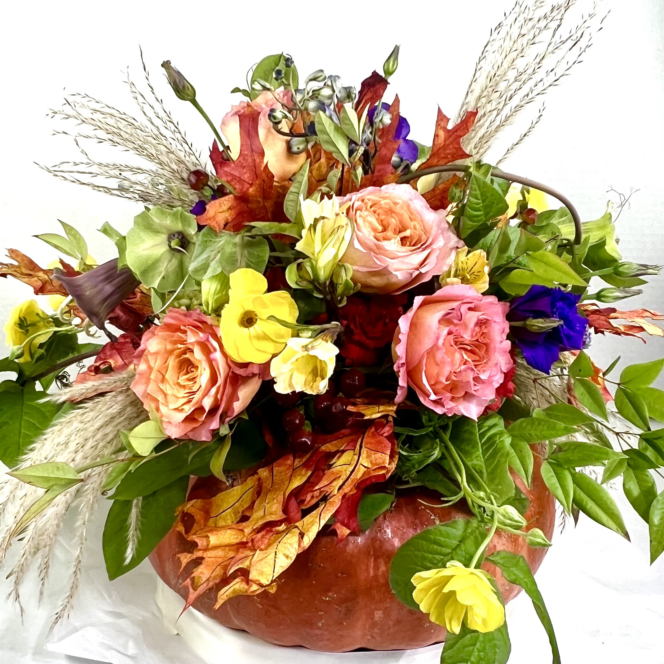 Fresh Pumpkin Arrangement - Perfect for any Thanksgiving celebration at the home or office.  This fresh pumpkin has beautiful flowers on top and is a unique way to enjoy the season.  After the holiday you can remove the spent flowers and put the fresh pumpkin out on the porch so the moose have a treat too! 