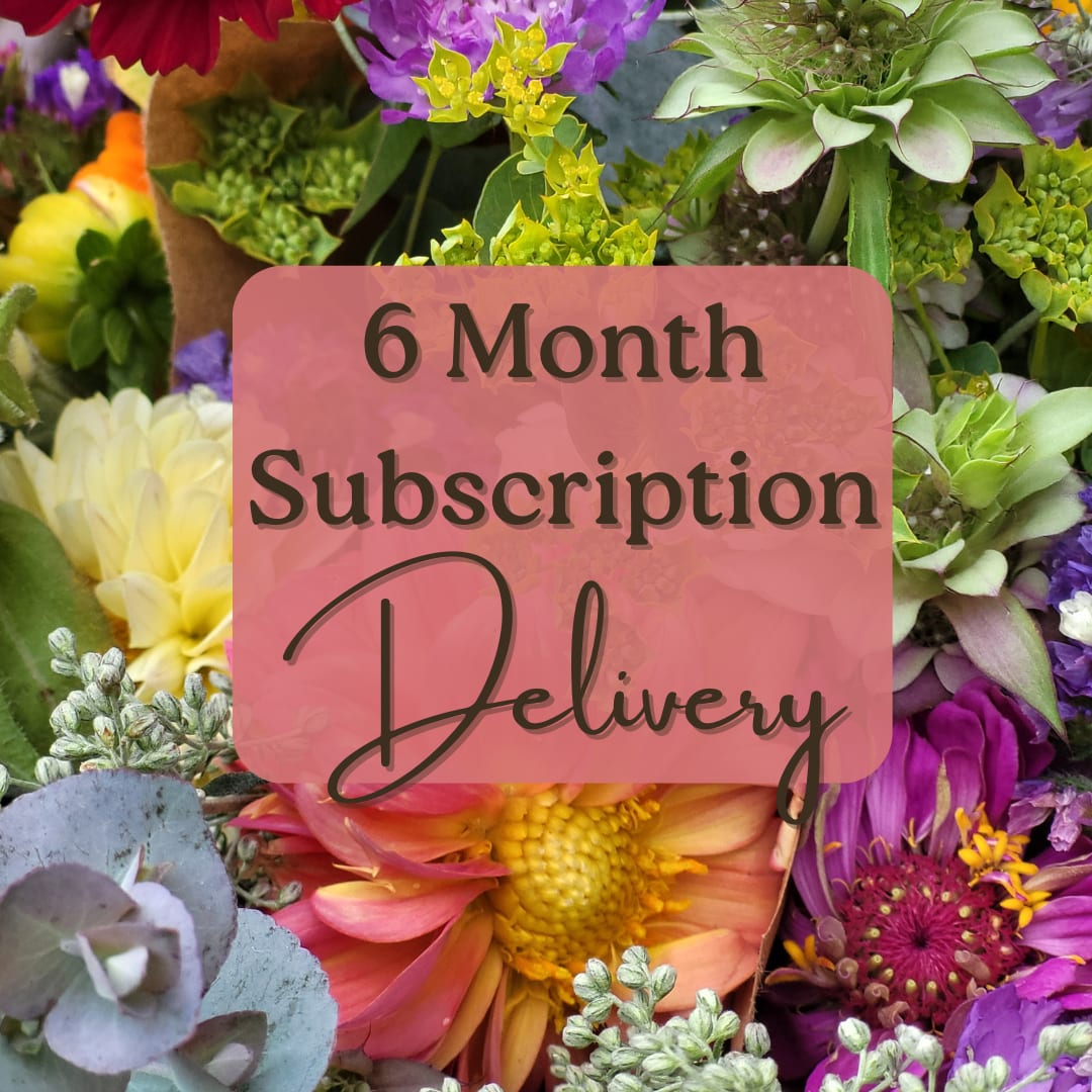 Black Friday Sale: Subscription Flowers - 6 Month DELIVERY - Black Friday Sale: up to 20% off! In addition to the discounted price, you'll also receive $20 in Cart Cash - to be used at our roadside flower cart and 2 tickets valid for the You-Pick ($40 value) at our self serve stand in Enon Valley for 2026.   This subscription delivers 6 months (6 stunning bouquets!) of unique, fresh, farm-inspired arrangements. It's the perfect gift for the flower lover in your life—or a wonderful way to treat your own home! These are definitely not your average &quot;grocery store&quot; flowers. We hand-design distinctive bouquets that feature a vibrant mixture of long-lasting, specialty, and traditional blooms.  Mini Bouquet: A charming arrangement with 6–10 stems, perfectly sized to fill a pint-size mason jar vase. Deluxe Bouquet (Most Popular!): A beautiful centerpiece with 10–18 stems, ideal for filling a standard quart-size mason jar.  Premium Bouquet: A luxurious, large arrangement featuring 20–30 stems, enough to generously fill an 8-inch vase or two mason jars.  Pick-Up Details Your bouquets are available for PICK UP at our shop on the first Wednesday of each month for 6 consecutive months.  Your bouquets will be delivered directly to the recipient's home on the first Wednesday of each month, totaling 6 beautiful deliveries. In the rare event that weather or delivery conditions are unsuitable, the bouquet will be delivered on the next available day, and the recipient will be notified promptly. 