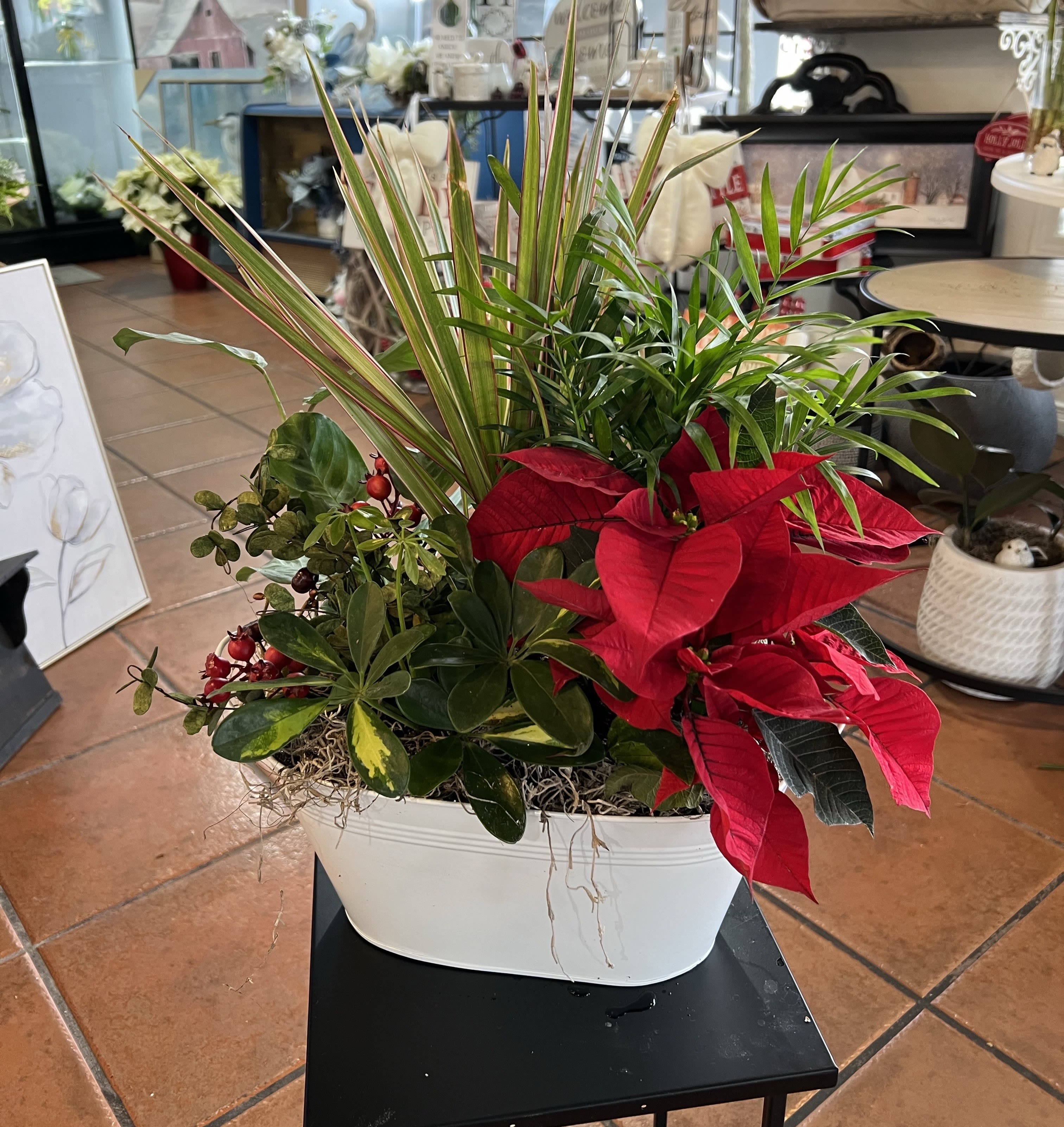 Festive Planter - Our standard planter with a festive twist