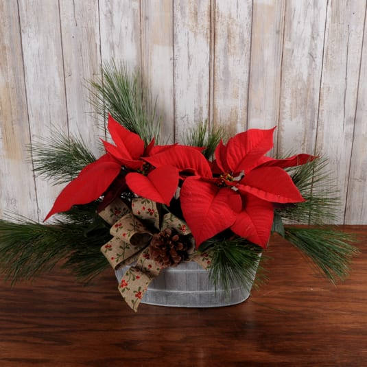 Red Tin Tabletop Poinsettia Planter - Red poinsettia's plants decorated in an oblong tin container accented with fresh pine, ribbon and pine cones, perfect for a small tabletop