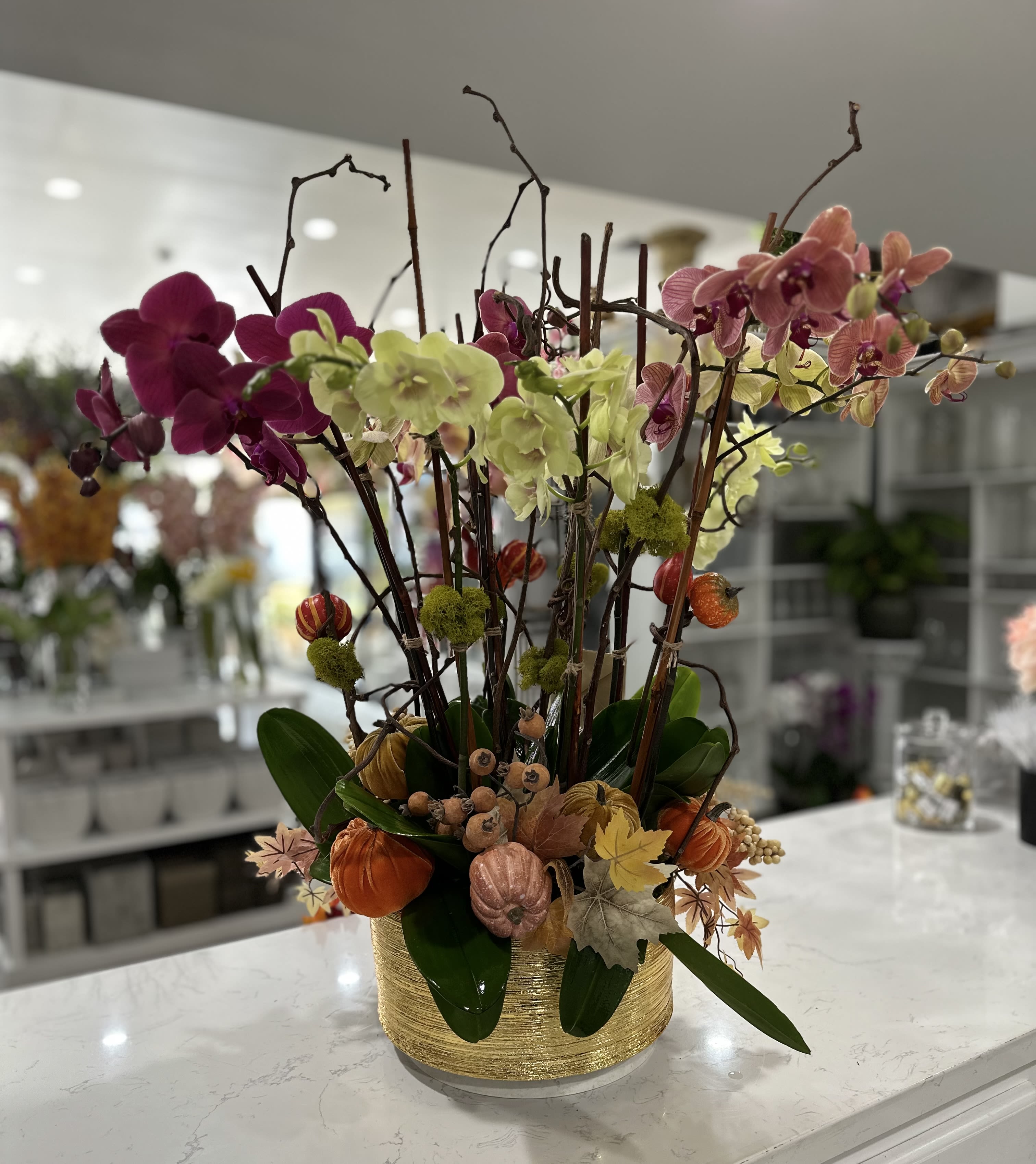 Autumnal Orchids - A stunning arrangement combining vibrant orchids in shades of pink, purple, and light green, elegantly arranged with natural branches, moss accents, and autumn-themed decorative elements like mini pumpkins and leaves. The arrangement is set in a textured gold container, embodying the warmth and beauty of the fall season. This piece brings a touch of nature’s elegance indoors, perfect for seasonal decor or special autumn celebrations.  