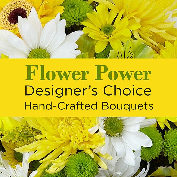 Designer's Choice II - Let our designers create a beautiful arrangement with the freshest blooms of the season!