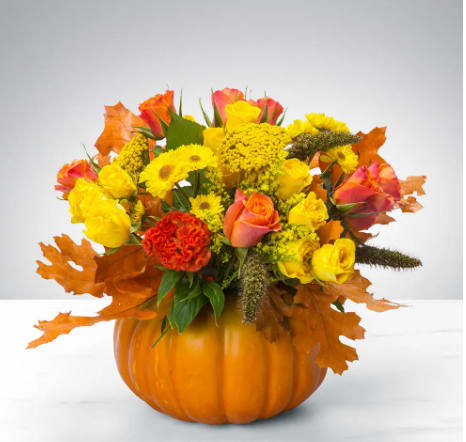 Pumpkin Power by BloomNation™ - Combine your Flower Power with Pumpkin Power with this wonderful, dare we say “powerful,” seasonal arrangement. Housed in a ceramic pumpkin vase, you will surely “fall” in love with this collection of fall flowers this fall.