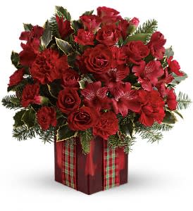 Season's Surprise Bouquet  - Make the season bright with this joyous surprise! Rich crimson blooms and fresh winter greens, arranged in a show-stopping red mirrored glass cube, are the perfect holiday gift!  A radiant red gift, this holiday arrangement features red spray roses, red alstroemeria, standard and miniature red carnations, variegated holly, noble fir and festive plaid ribbon. Delivered in a stunning red Mirrored Cube vase.  Approximately 13 1/2" W x 13" H  Orientation: One-Sided  As Shown : TWR11-1A Deluxe : TWR11-1B Premium : TWR11-1C