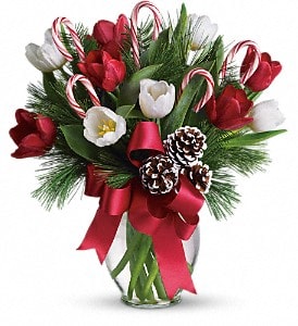 By Golly It's Jolly - Imagine what would happen if you combined everyone's holiday favorites and arranged them in a beautiful Christmas bouquet. The results would be very sweet indeed, as they are in this fantastic gift!  Bright red and white tulips, real candy canes, pinecones and holiday greens in a pretty ginger vase come all wrapped up in a pretty holiday bow. Eye candy with real candy, what a treat.  Approximately 14" W x 15 1/2" H  Orientation: All-Around  As Shown : T118-2A Deluxe : T118-2B Premium : T118-2C