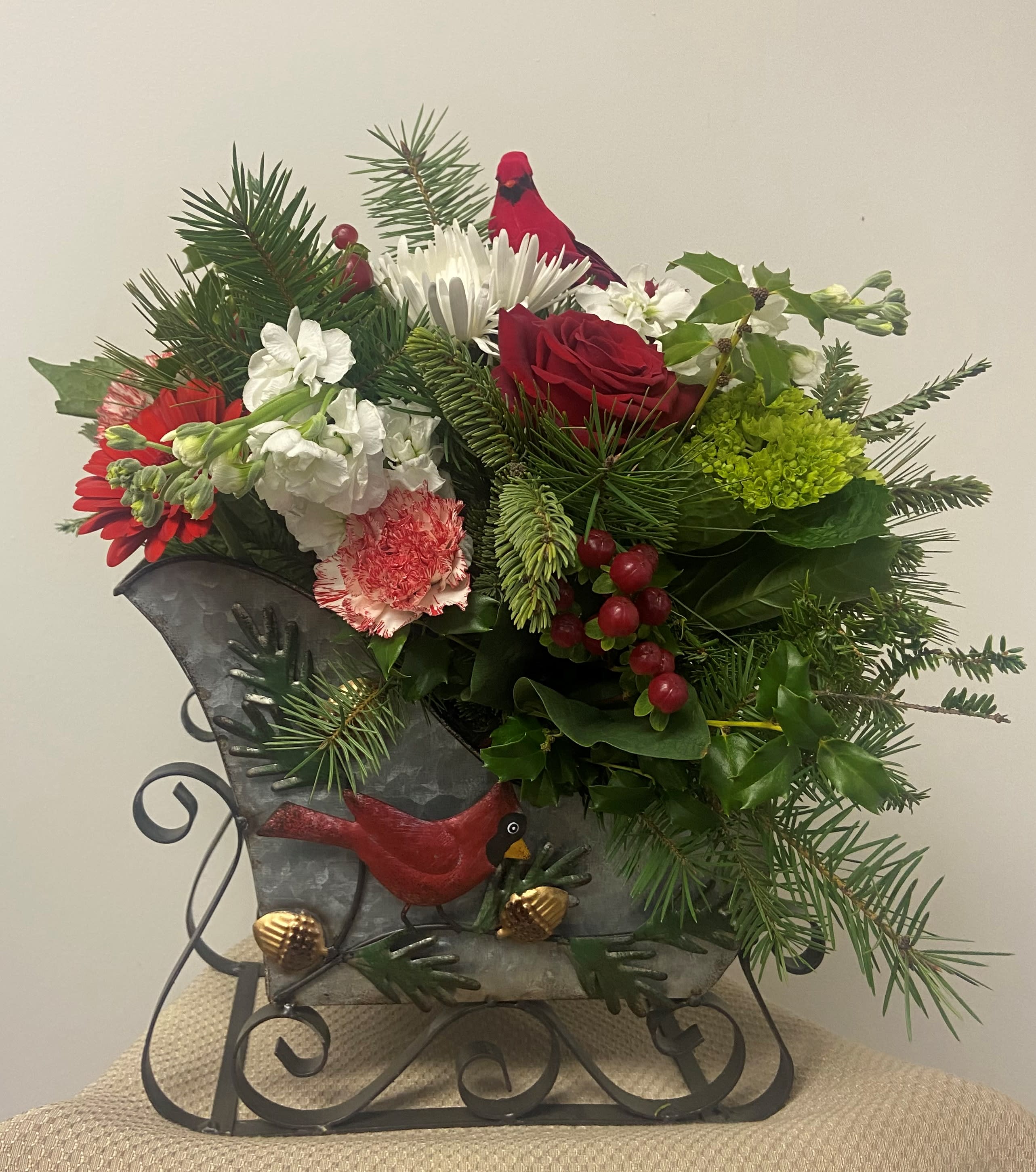 Sleigh Ride - An incredible collection of Designer chosen seasonal holiday blooms artfully arranged in an adorable keepsake tin sleigh. Several sleigh styles are available, cardinal choice pictured is sold out.  An arrangement that can be enjoyed during the holiday season with a keepsake container that can be used year after year for a holiday display.  Item is approximately 18 inches H x 18 inches W. for the Deluxe options and larger with the premium option.
