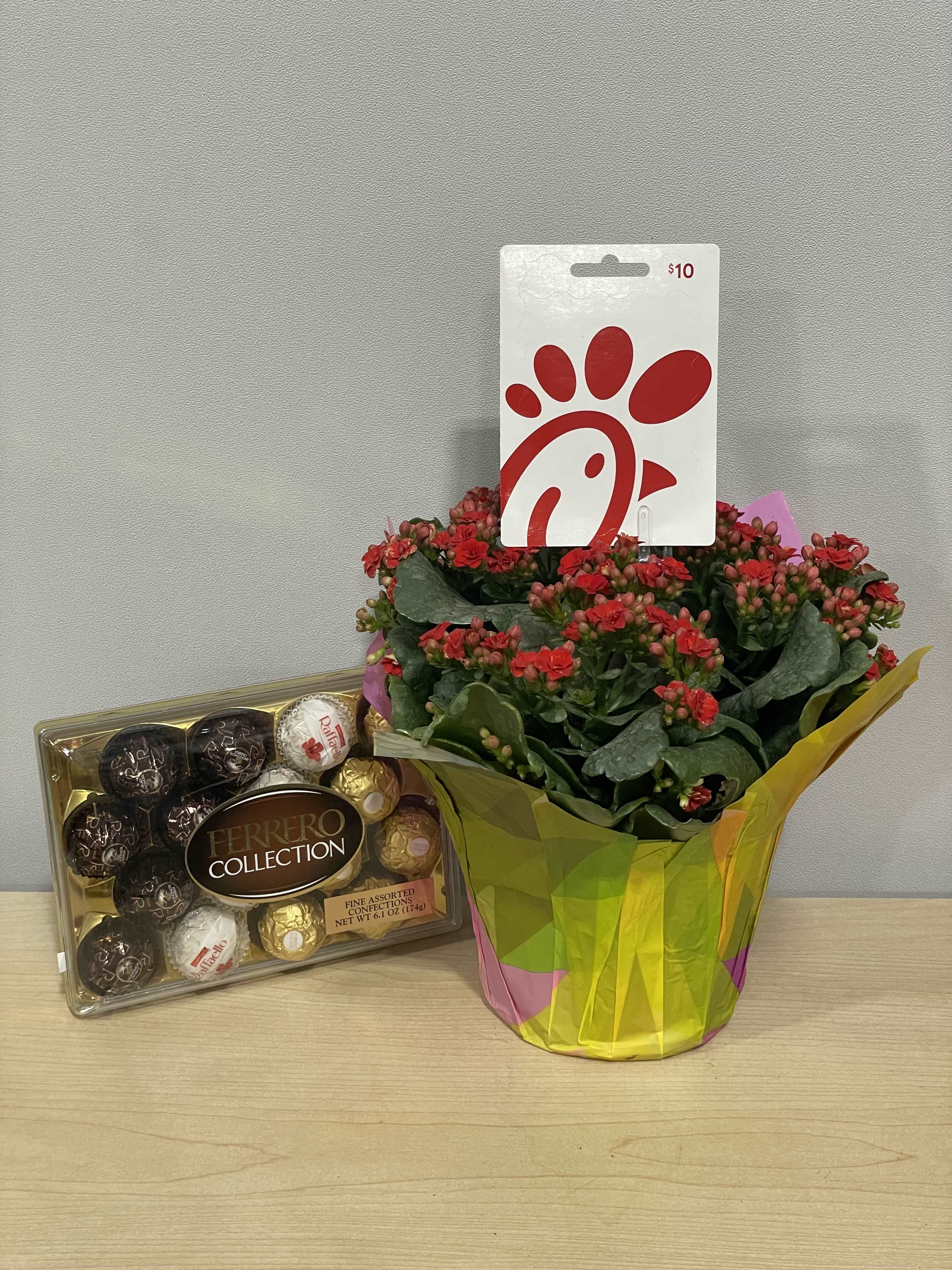 Chick Fil A &amp; Kalanchoe Trio - As shown 