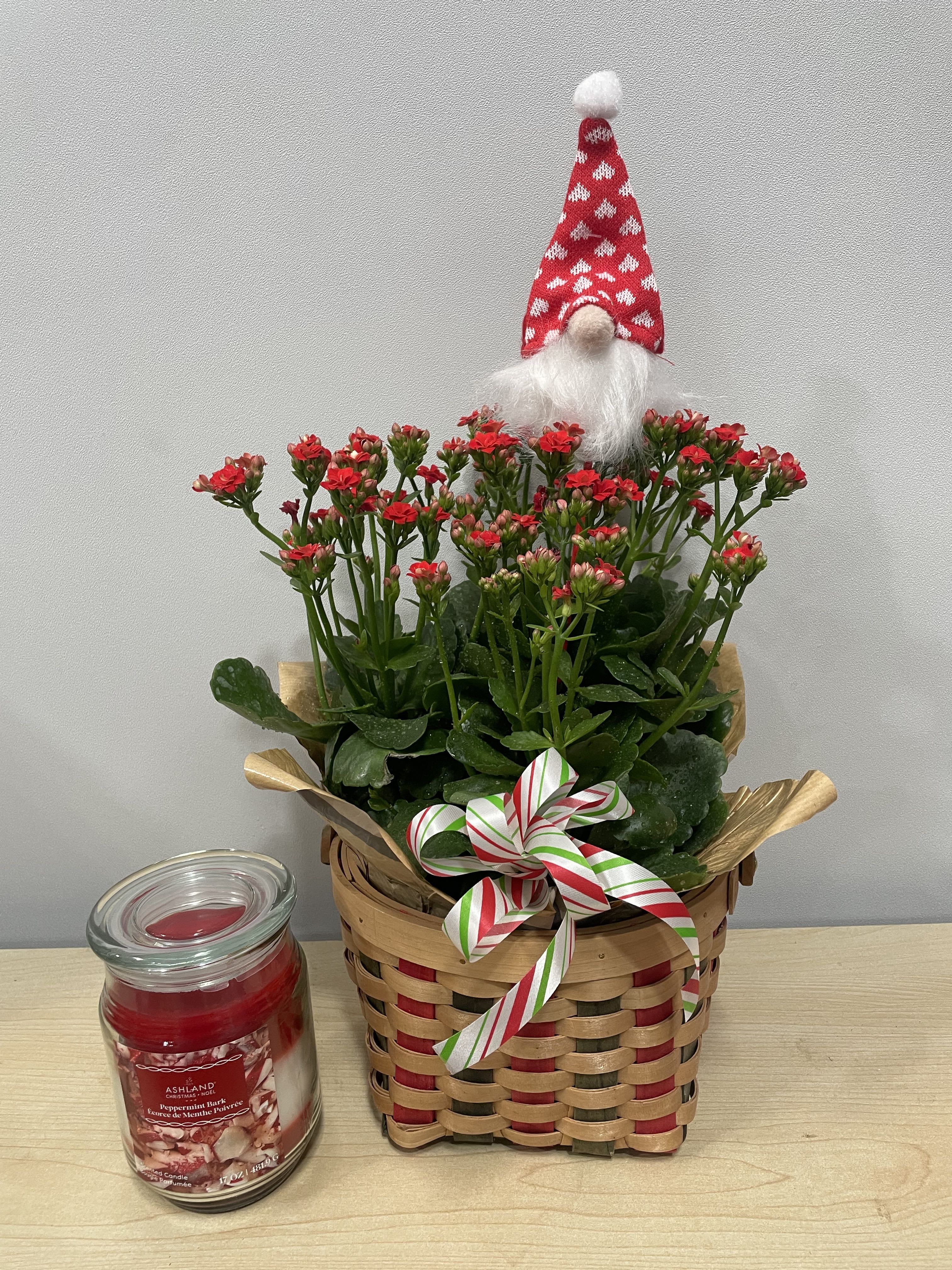 Holiday Kalanchoe &amp; Candle - As shown 