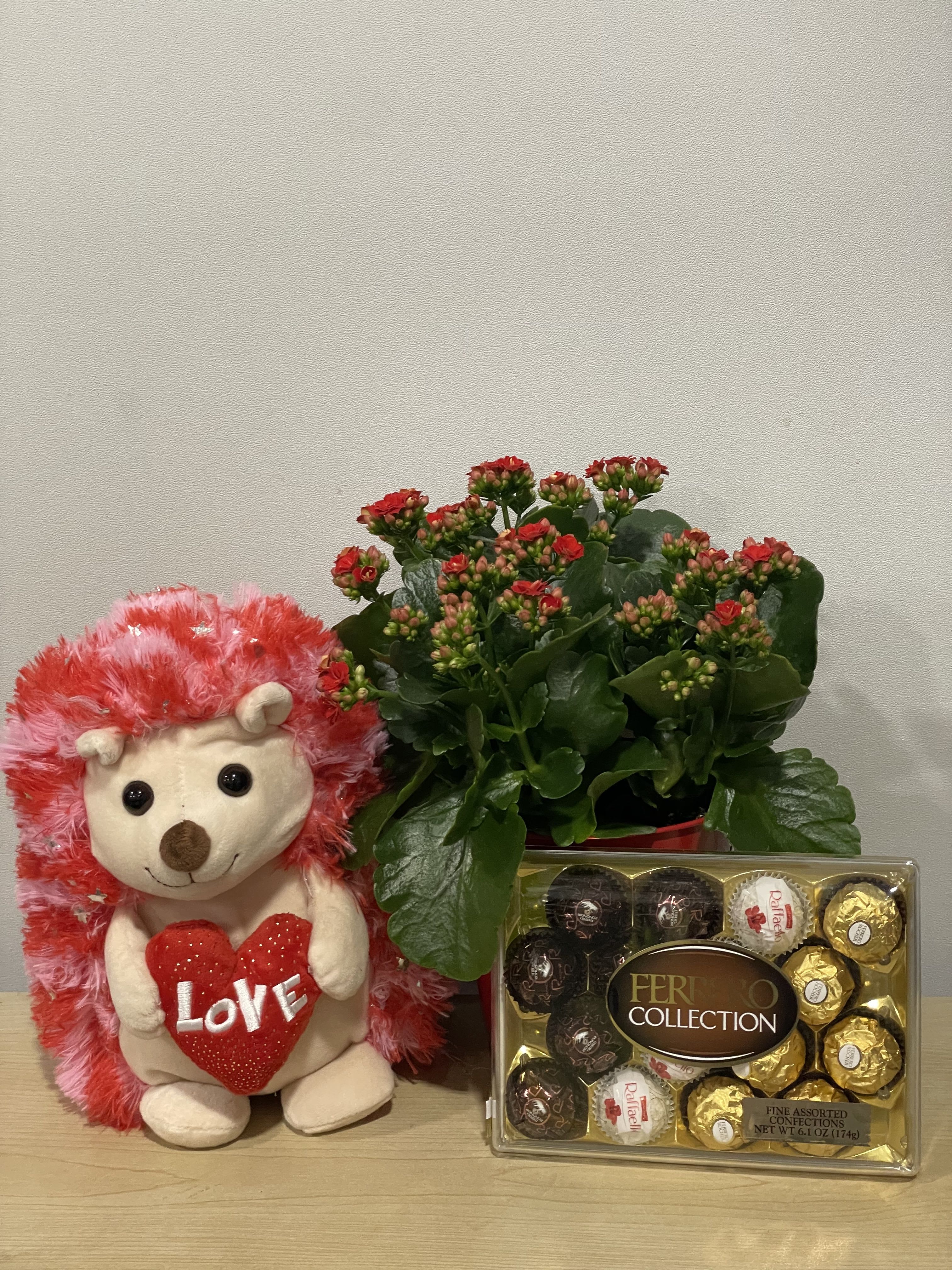 Red Kalanchoe &amp; Hedgehog Trio - As shown 