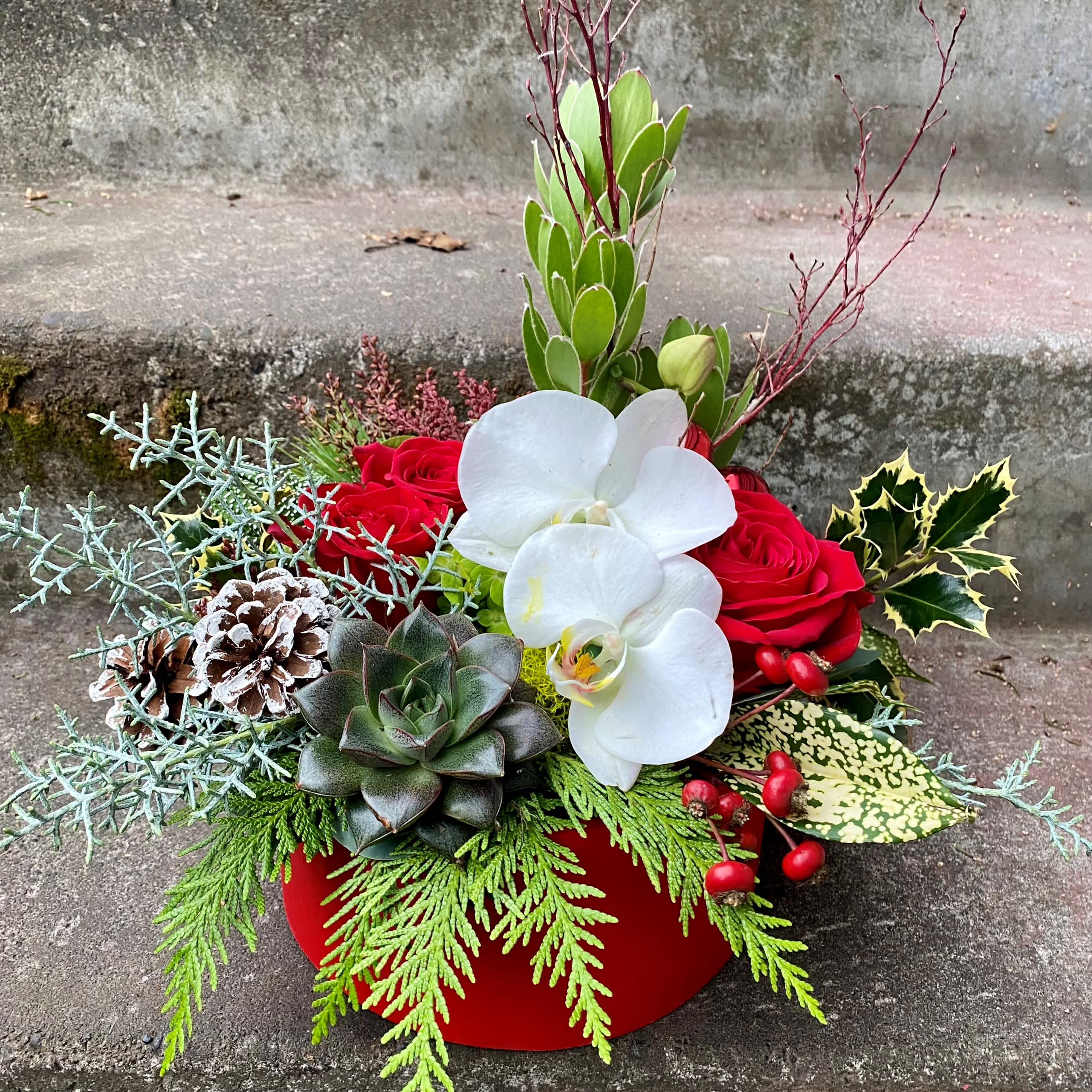 Joy to the World - Available beginning December 3rd.  Joy to the World is a limited-edition version of our wildly popular Texture Box that we are creating just for Christmas. We have a limited quantity of our classic wooden box that we had stained red, and we fill them with seasonal ingredients in classic Christmas colors. Joy to the World has all of the elements that make our Texture Collection so compelling: fresh roses, succulents that can be planted later and lush orchids. We layer in several varieties of evergreens to give the arrangement a classic holiday scent. Then our designers continue adding textural elements in flowers, foliages and items with interesting textures to create a unique work of art.  Items from our Texture Collection items are best displayed where they can be seen from all sides so that all of the individual elements can be seen. This makes them perfect for display on a coffee table, kitchen island or as a unique centerpiece on a dining table. Every Joy to the World Texture Box will have the same look and feeling to it, but with a unique combination of elements that makes it one-of-a-kind. s of prior work to give you an idea of size and style. Actual arrangements will vary with what is growing in our cutting garden, compelling elements from the market and interesting finds while foraging. Upgrades are the same size but with more premium flowers used.  Approximate size of the box is 8&quot; X 8&quot;