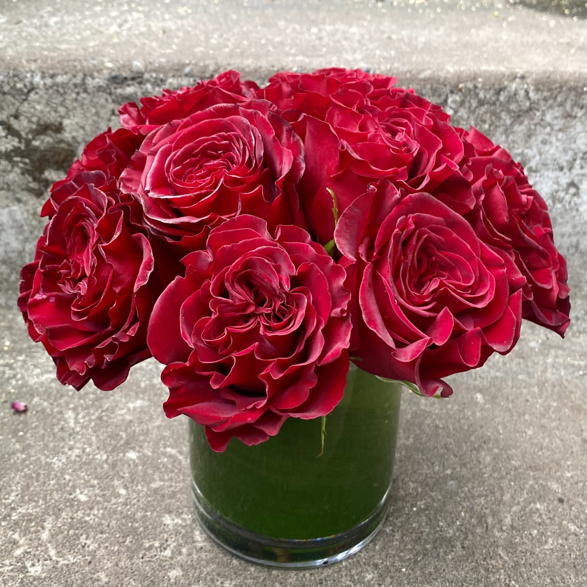 One dozen classic red roses - Make a bold statement with this beautifully simple design. It is all about the blooms, free of any filler or greenery, so that the focus is all on the roses.  Order Deluxe to upgrade to two dozen red roses, or premium for three dozen. For other colors, please order our 'Classic White Roses' or 'Classic Roses' arrangements.  One dozen red roses in a glass cylinder vase with a leaf wrap inside to hide the stems.  APPROXIMATE DIMENSIONS:  Standard - 9 inches high by 9 inches wide Deluxe - 10 inches high by 1o inches wide Premium - 10 inches high by 11 inches wide