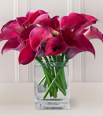 15 Calla Lilies Special Of The Month - 15 Gorgeous Calla Lilies designed in a clear rectangular vase. Deluxe 20 Premium 25