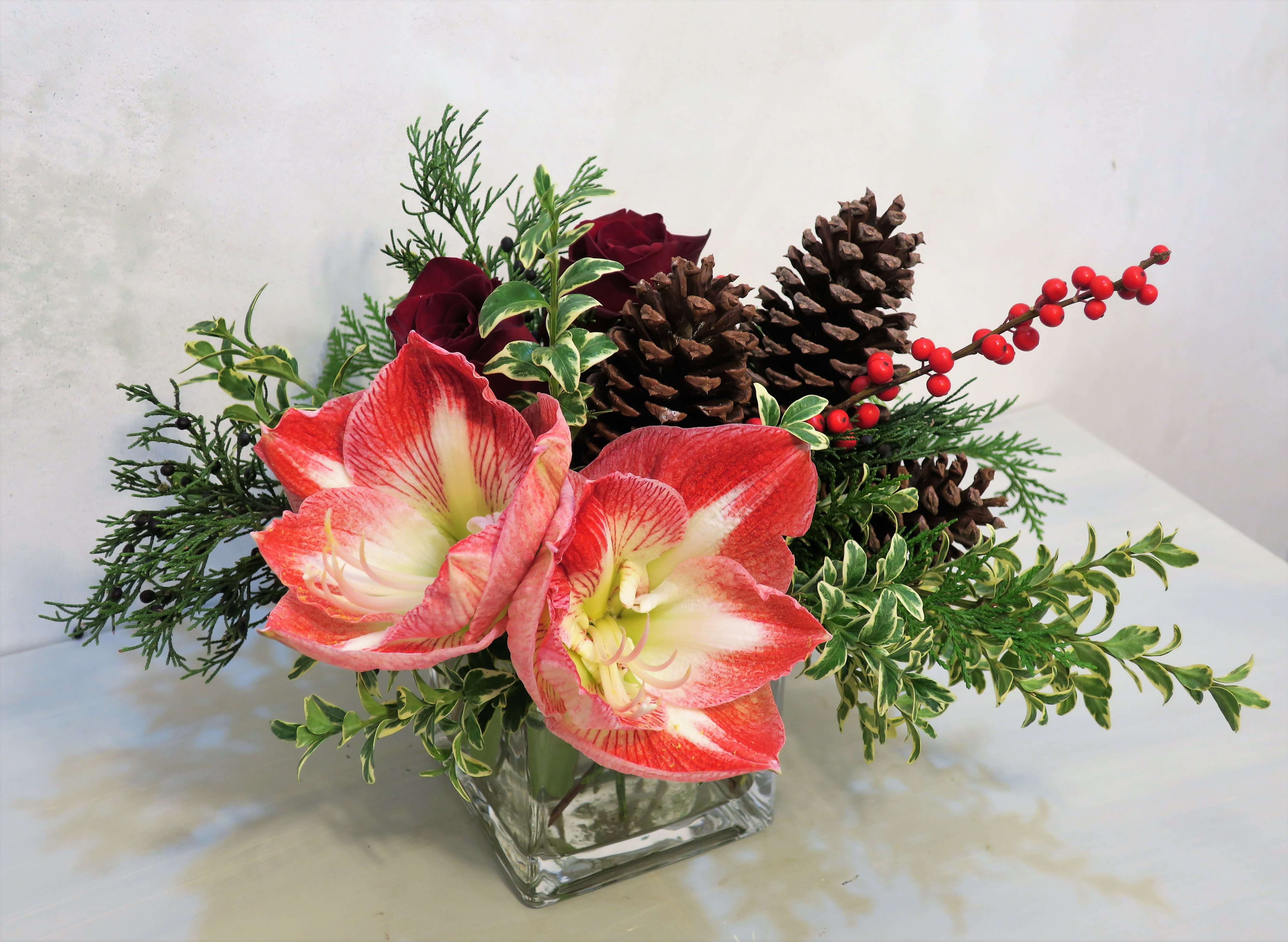 Very Merry Bouquet - Small 4&quot; cube with 2 red roses, one beautiful double or triple bloom amaryllis, pine cones and ilex berries among mixed premium evergreens. Deluxe and premium will be designed in a larger cube vase. 