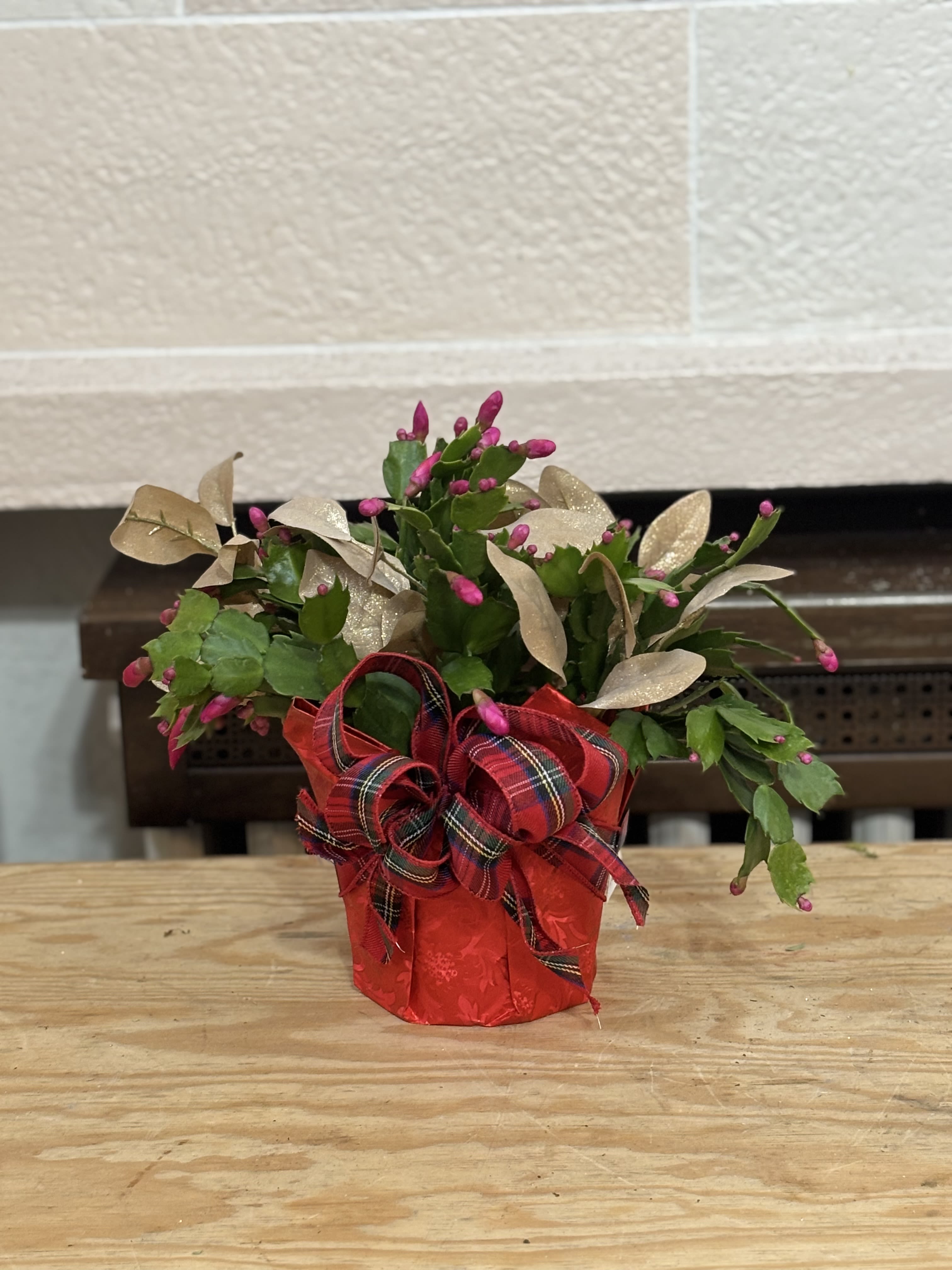 Christmas Cactus with Artificial  - A 6&quot; wrapped Christmas cactus with added artificial 