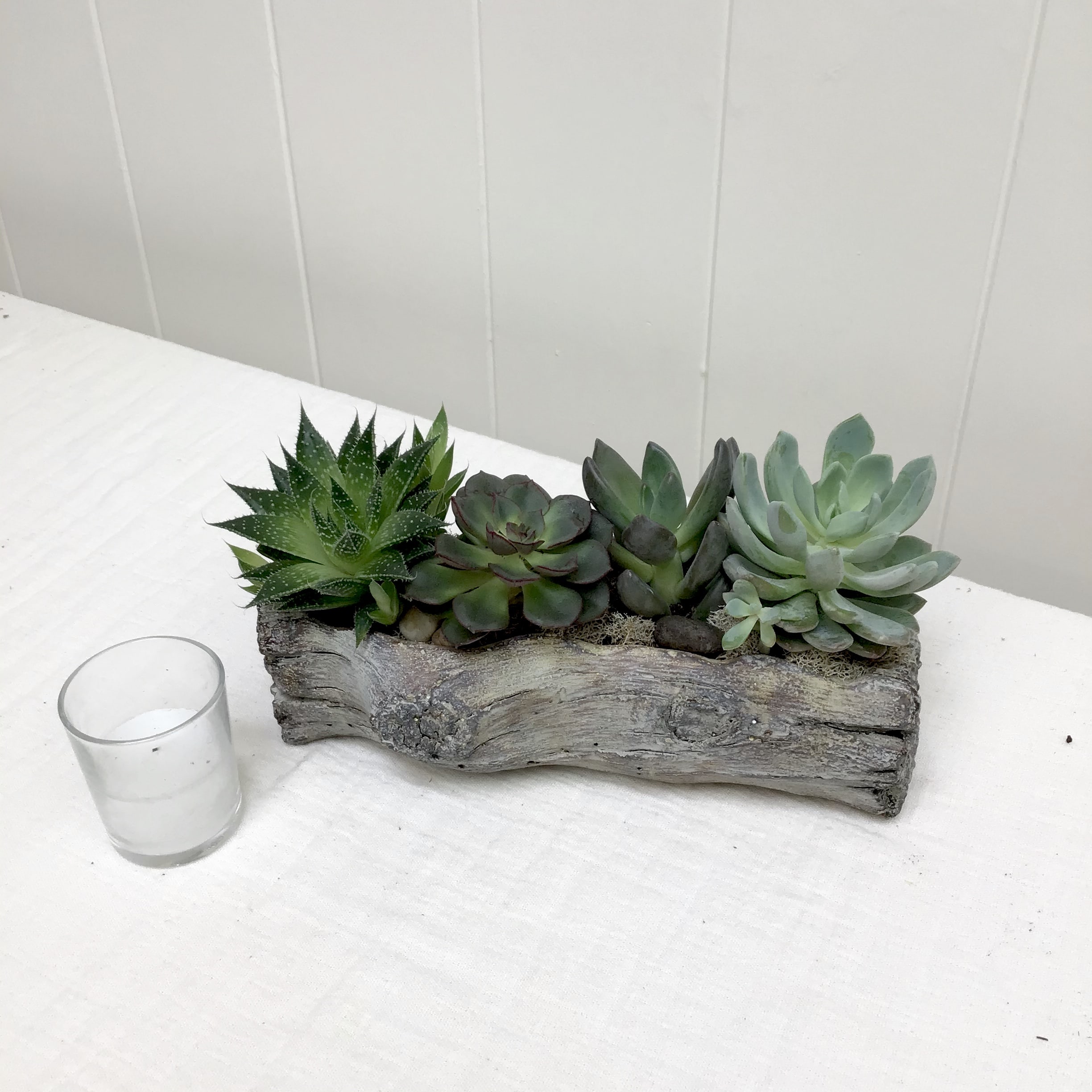 Mini Lazy River - This 9” long ceramic log is potted with four 2 inch succulents in a variety of shapes and sizes. Succulents are long lasting and easy to care for.  *Actual succulents may vary*