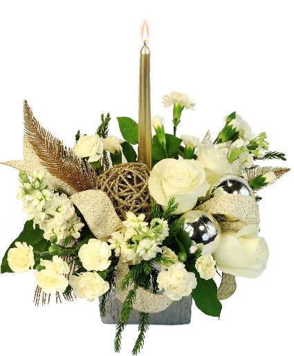 Celestial Glow  - Golden glow of a winter night in this arrangement