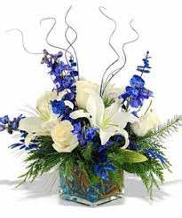 Surpise and Delight  - Great arrangement to Celebrate the Festival of lights or any other winter event or holiday. The lilies may be tight on first delivery, they will open. 