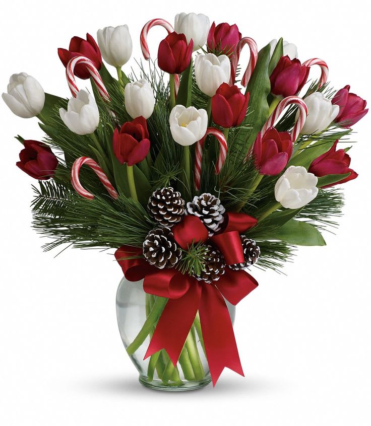 Peppermint Tulips  - Red and white tulips with candy canes and pine 