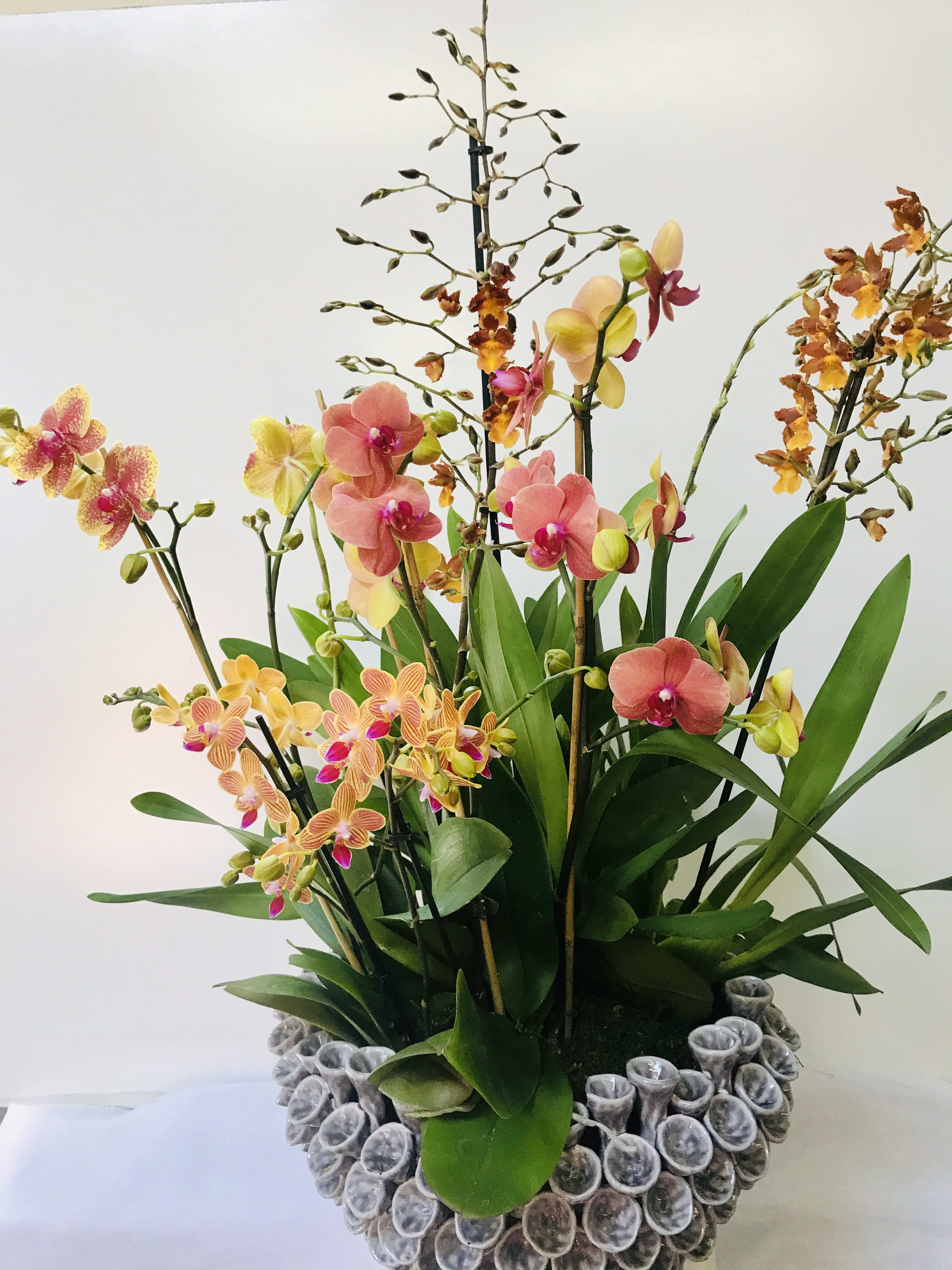 Like Water for Chocolate - Beautiful orchids in a very unusual vase 