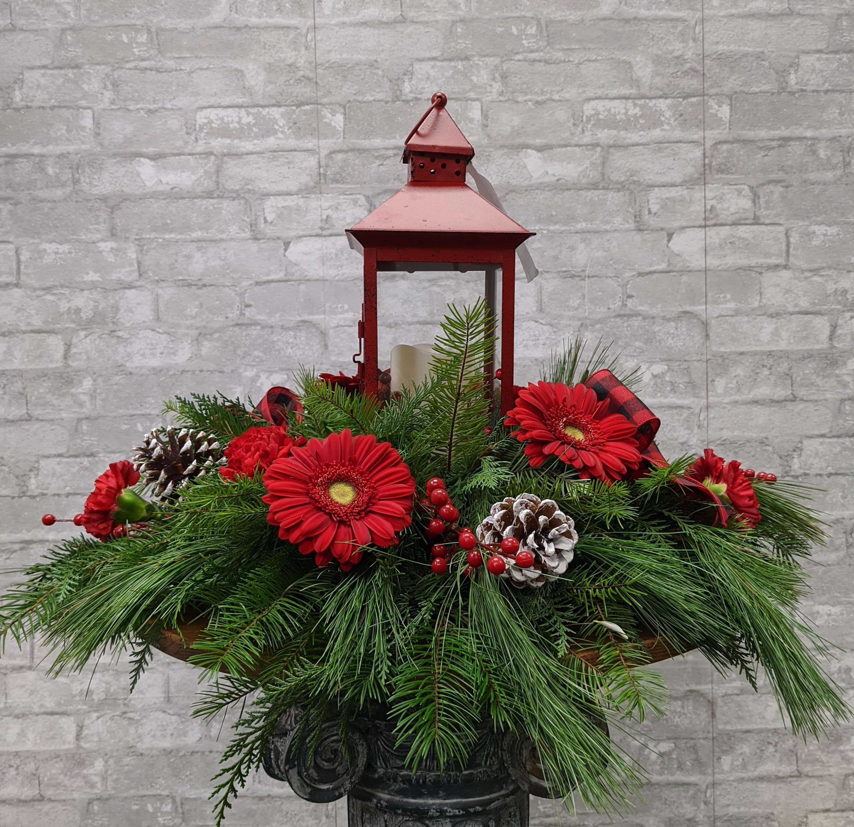 Coach Lantern FG - Charming centerpiece with keepsake lantern, Christmas greens and red blooms.  FOR LOCAL DELIVERY ONLY.  Approximately 18&quot; H X 25&quot; W.
