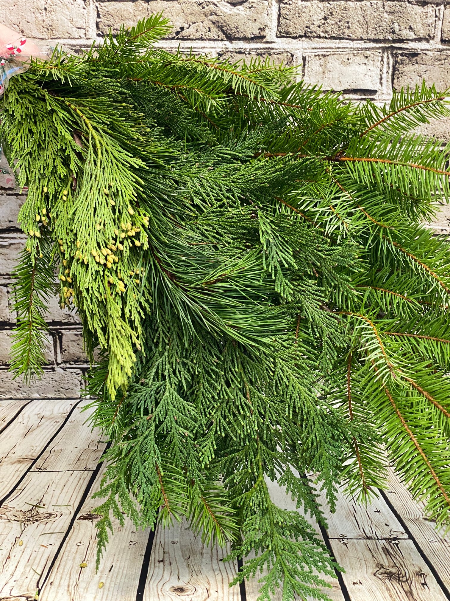 Evergreen Boughs - A mixed bunch of evergreens, perfect for porch pots or DIY arrangements, featuring a variety of lush greenery such as pine, spruce, fir, and cedar. The assortment offers a rich texture and depth, ideal for creating a natural, festive look. These evergreens are versatile and can be used to add a fresh, wintry touch to outdoor spaces or craft personalized holiday displays, bringing seasonal beauty wherever they're placed.  Wrapped bunch of mixed evergreens in cellophane wrap. In-store pick up only.   